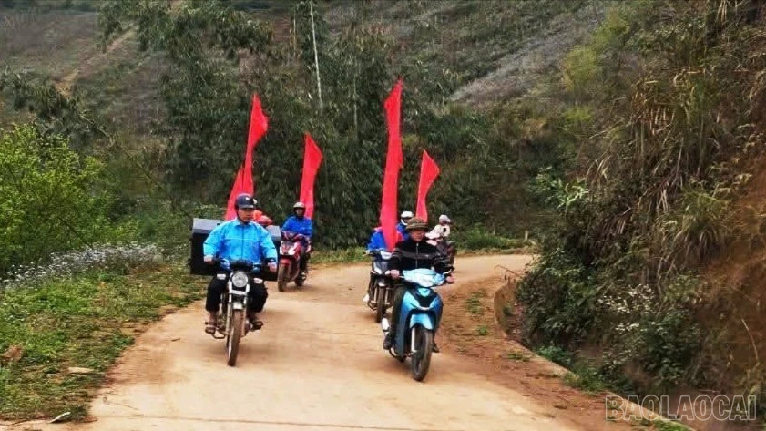 baolaocai-br-z7604778975186-63cbefc67daab1074a1c976b635317c6.jpg