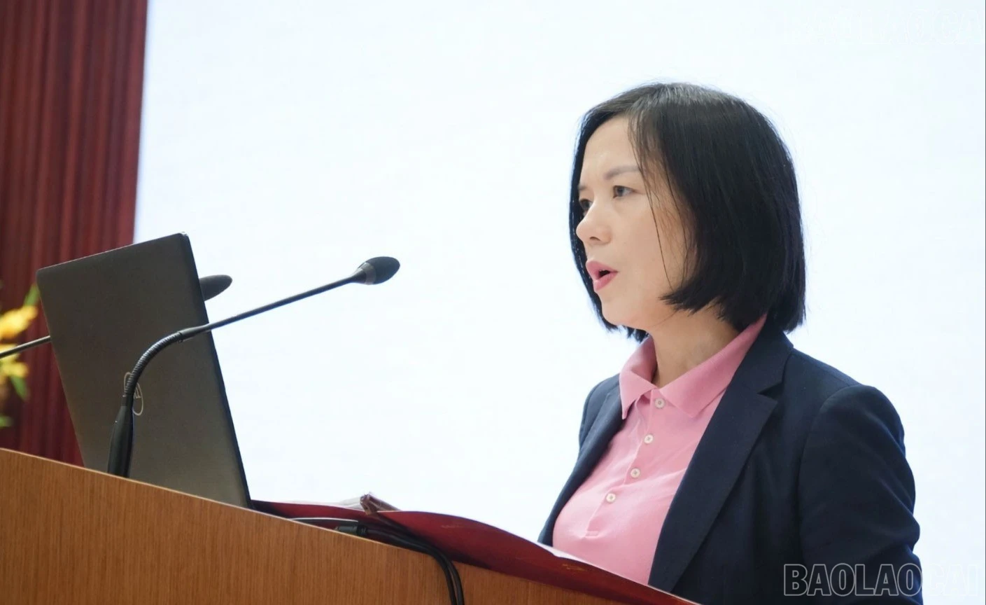 baolaocai-tr-11.jpg