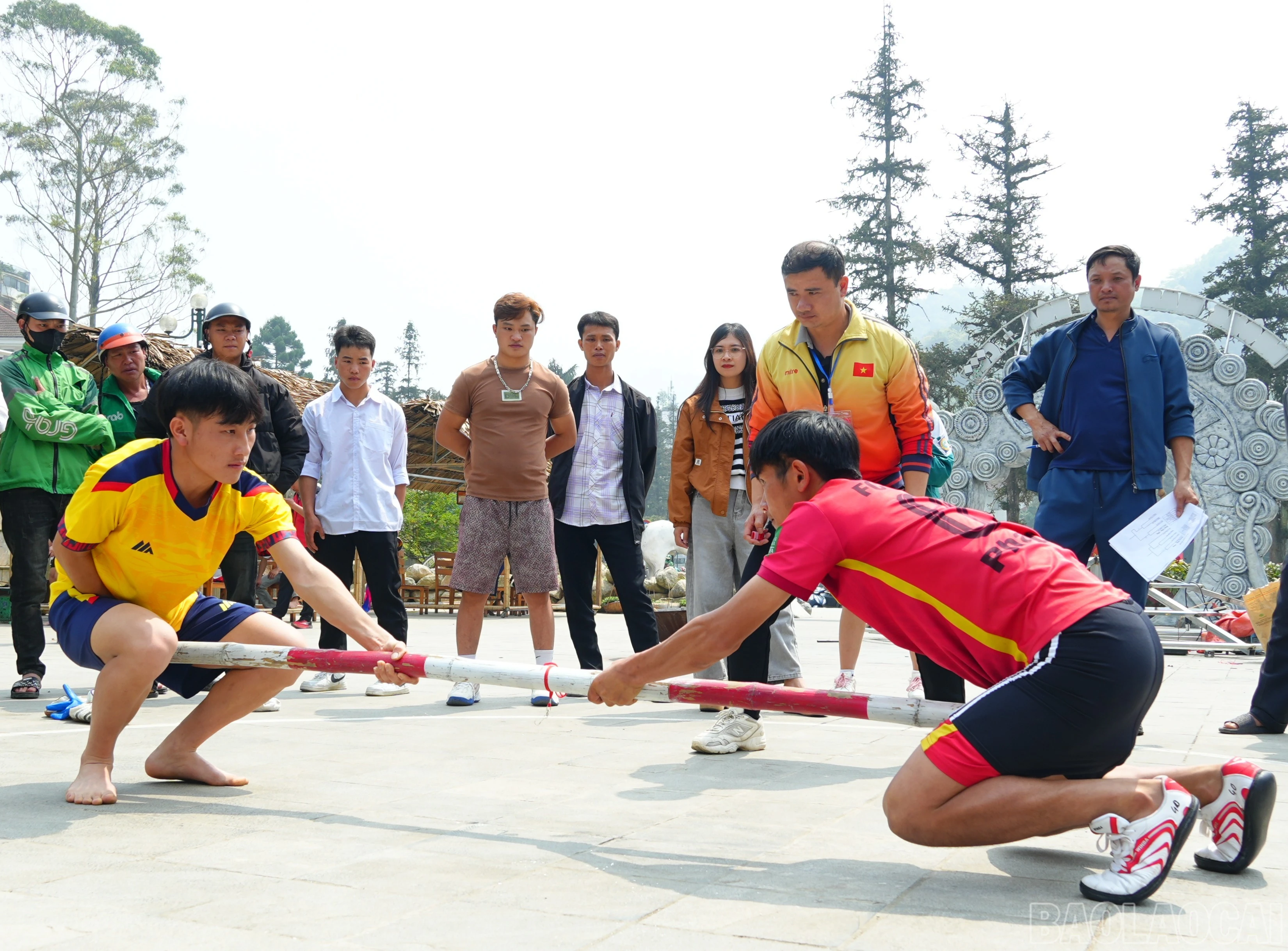 baolaocai-br_dsc09370.jpg