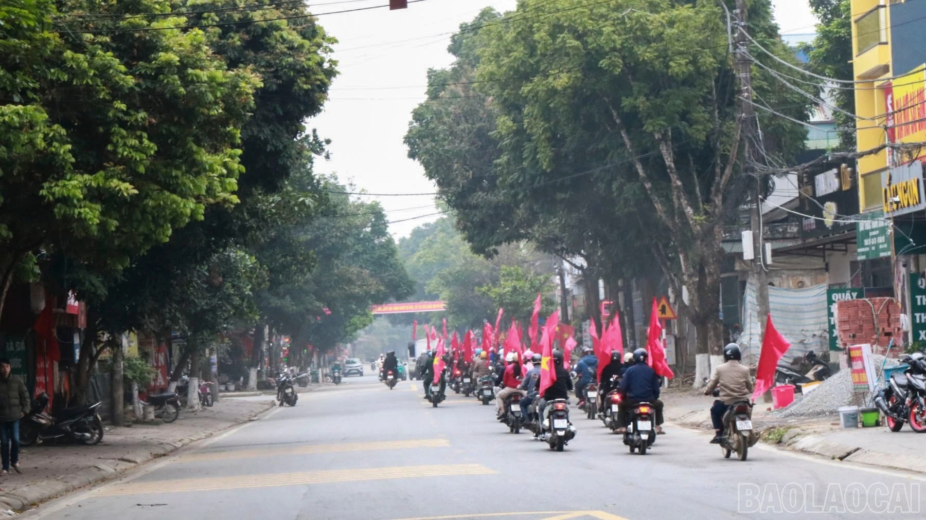 baolaocai-br-1.jpg