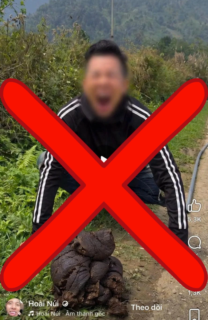 vipham-6339-1357.png