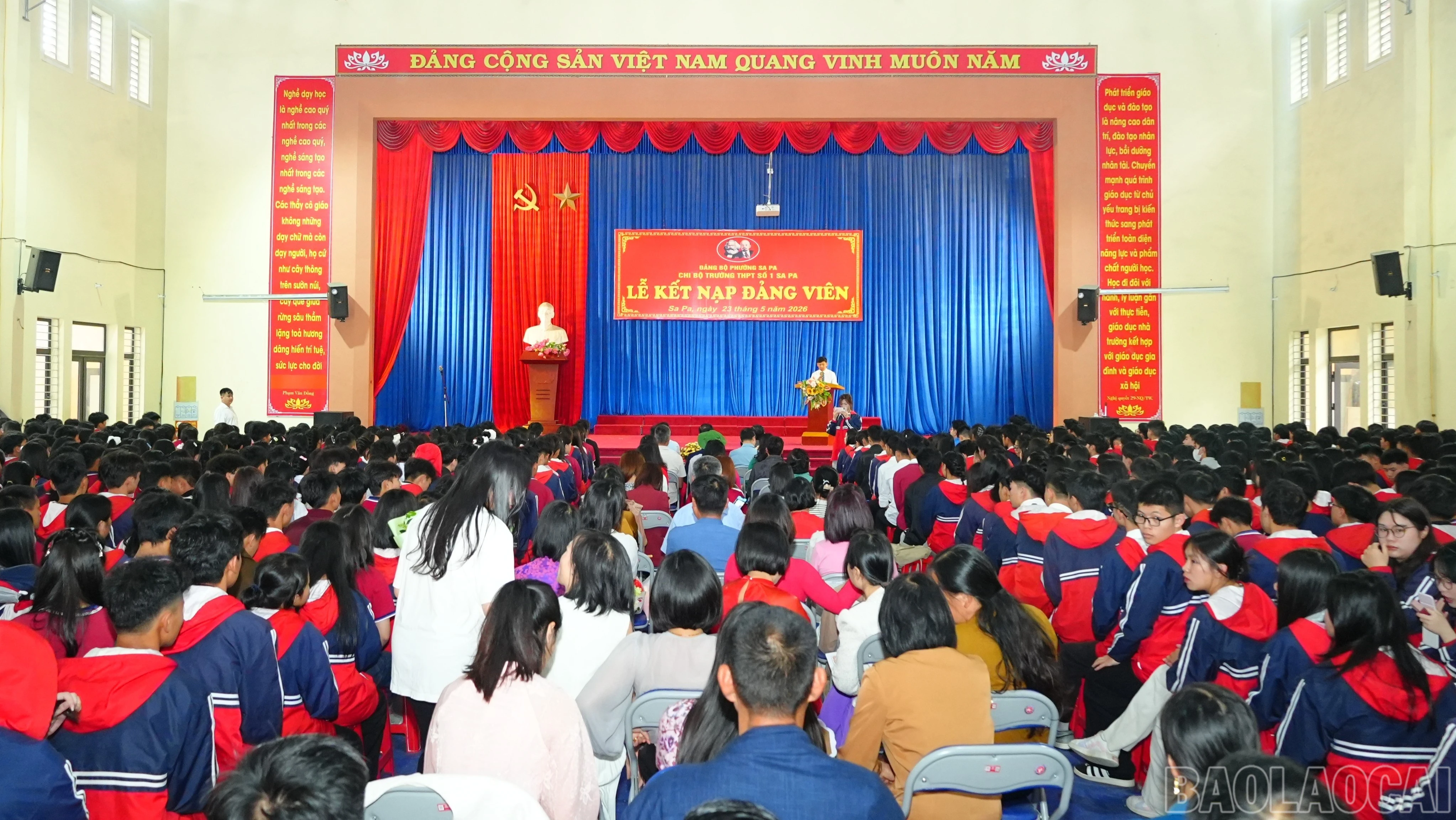 baolaocai-br_dsc05300-7113.jpg
