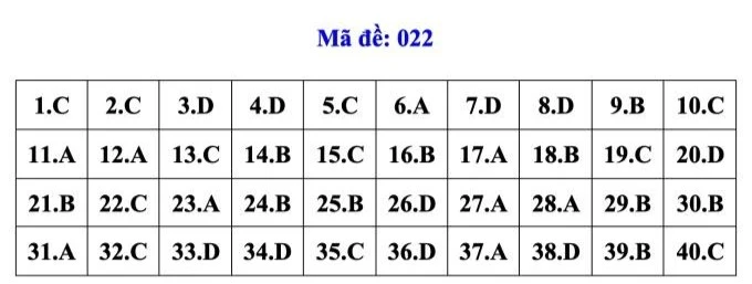 dapan021-6367.jpg
