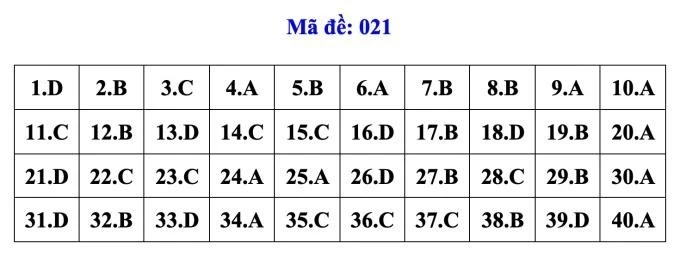 dapan021-1662.jpg