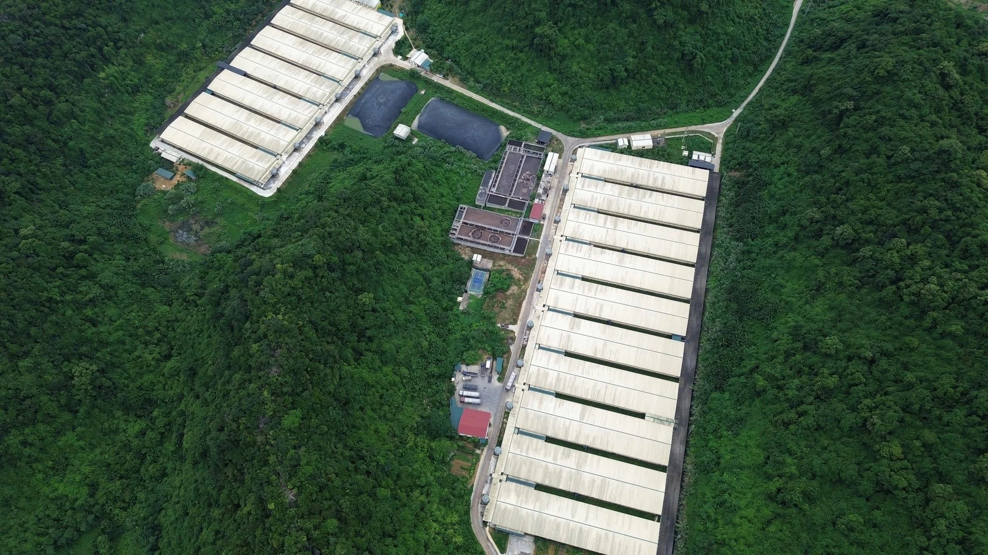 Dự án được UBND tỉnh Thanh Hóa chấp thuận chủ trương đầu tư năm 2021, có tổng vốn đầu tư hơn 770 tỷ đồng, diện tích trên 50ha, quy mô 5.600 lợn nái và hơn 158.000 lợn thịt mỗi năm.