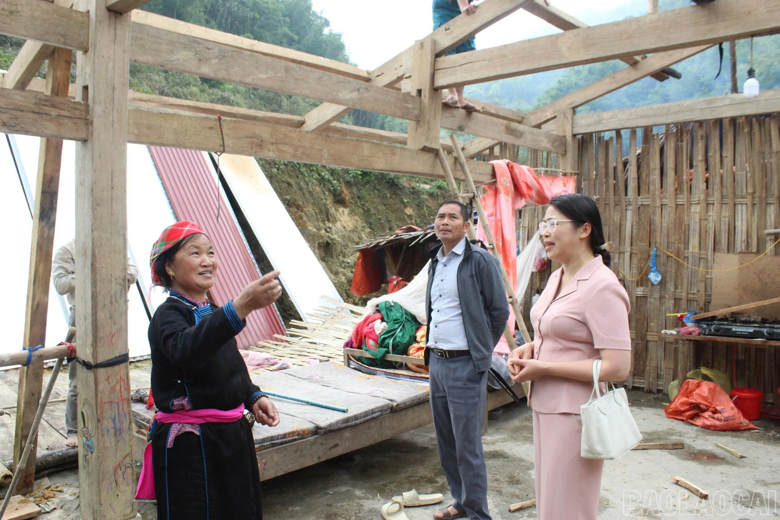 baolaocai-br_z7754546755067-50ff64cdd432bf3cdcf85a8dcdcf01ff.jpg