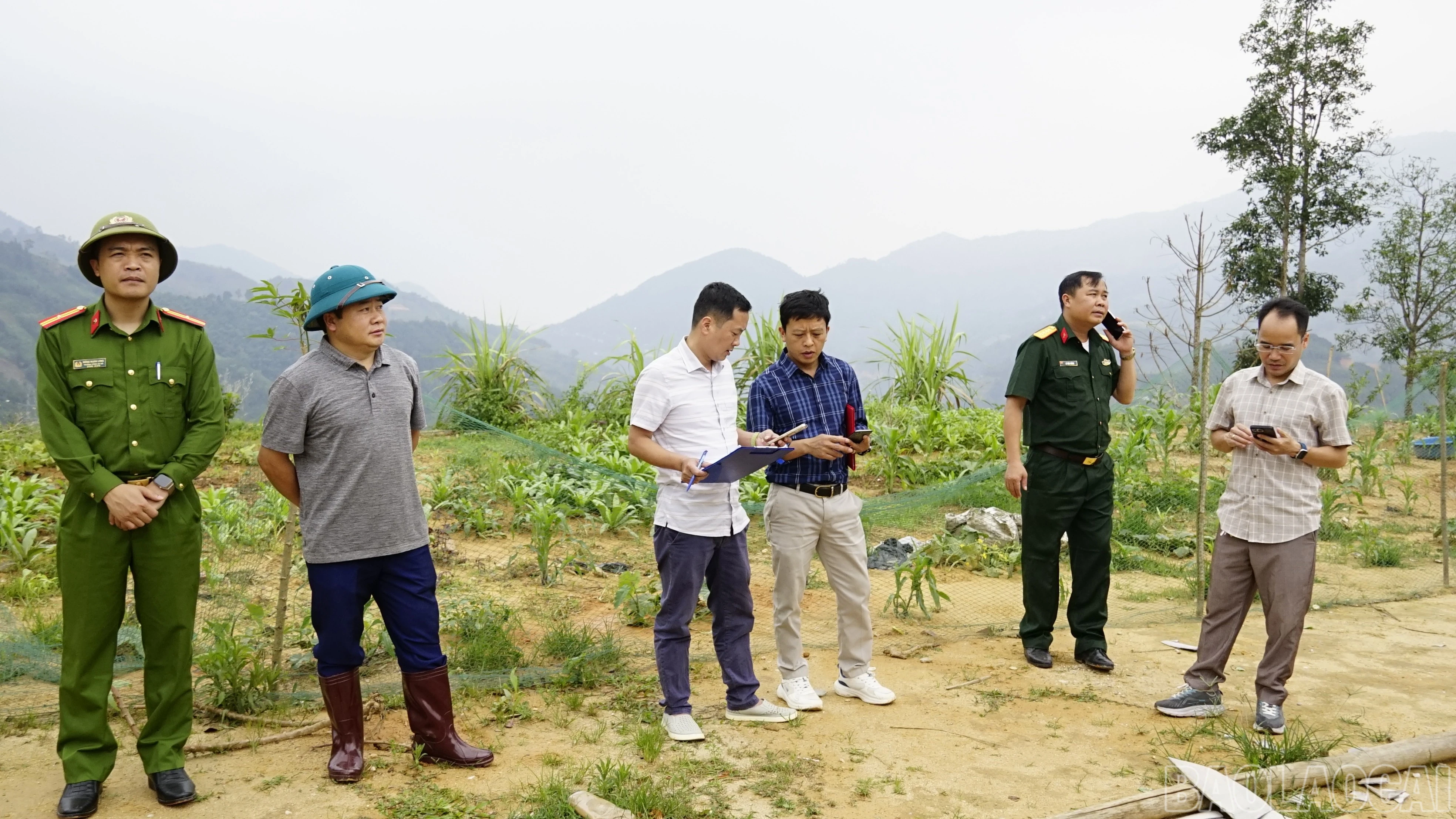 baolaocai-br_dsc7089.jpg