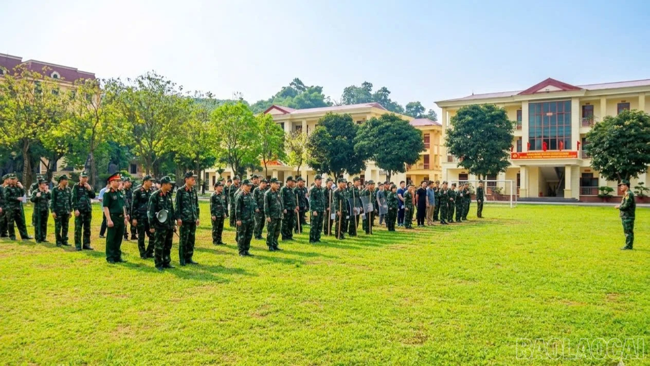 baolaocai-br-z7755613428127-f9f2663819f6b094af8d914439fd75b6.jpg