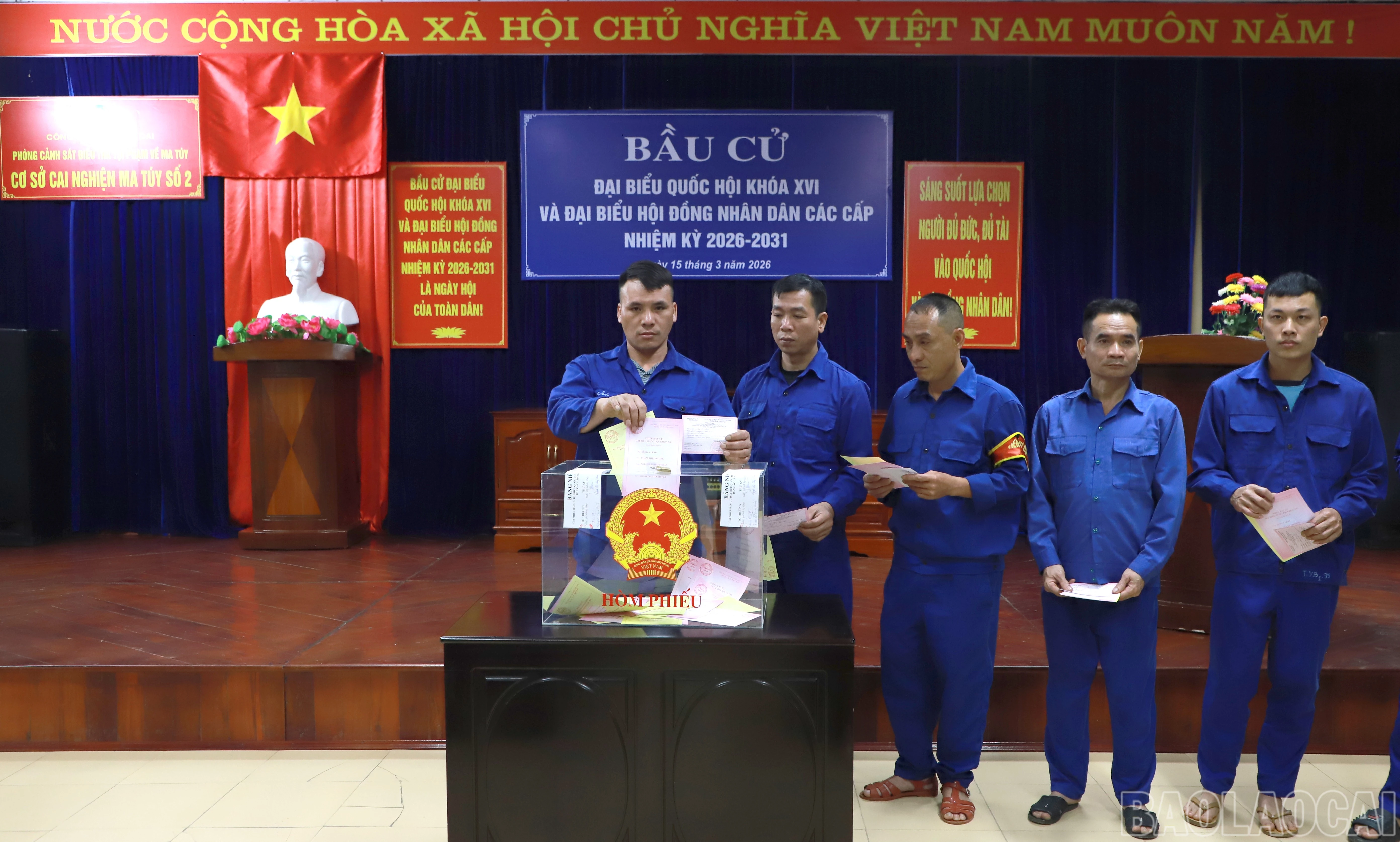 baolaocai-br_cainghien2.jpg