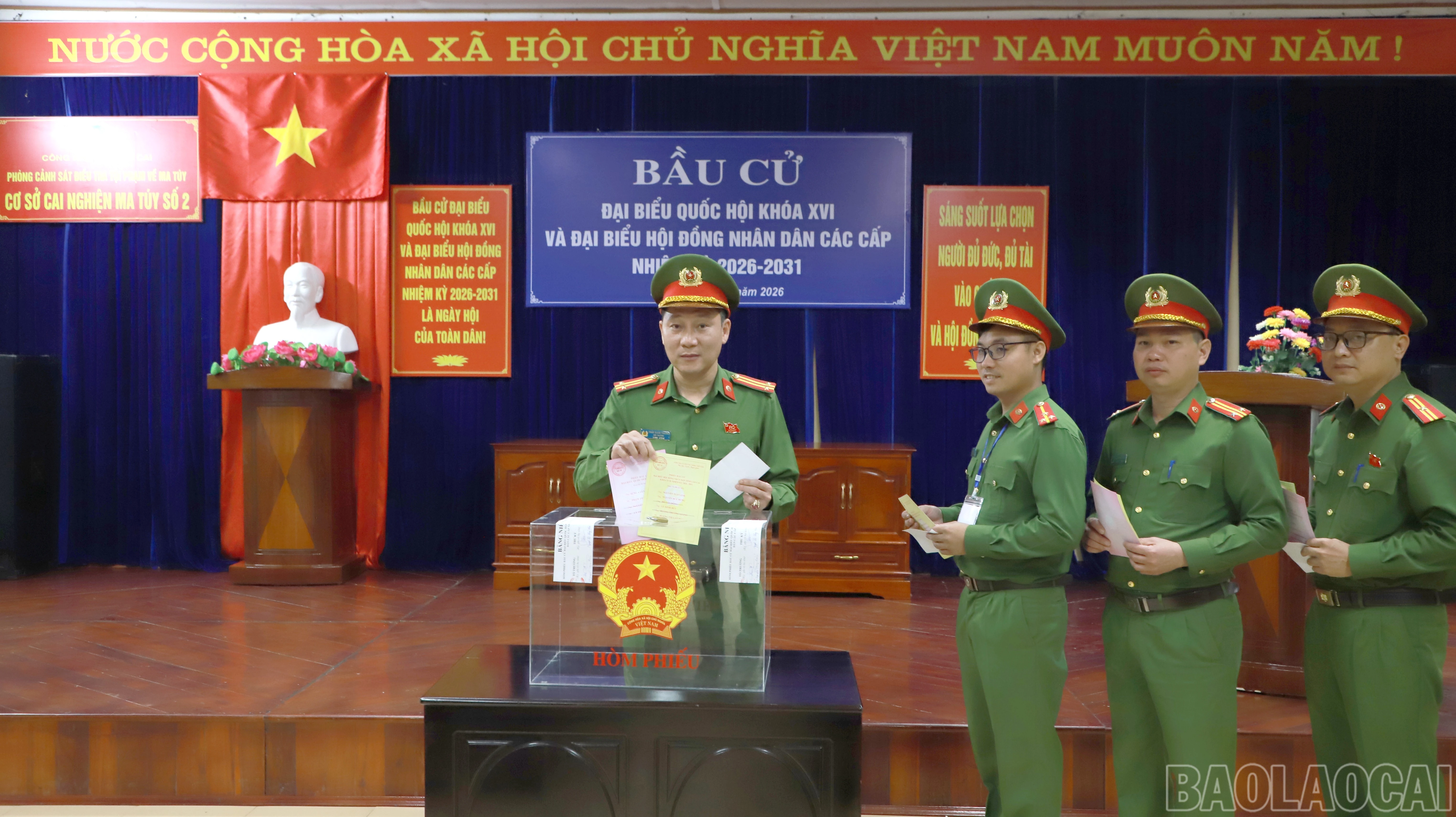 baolaocai-br_anh1.jpg