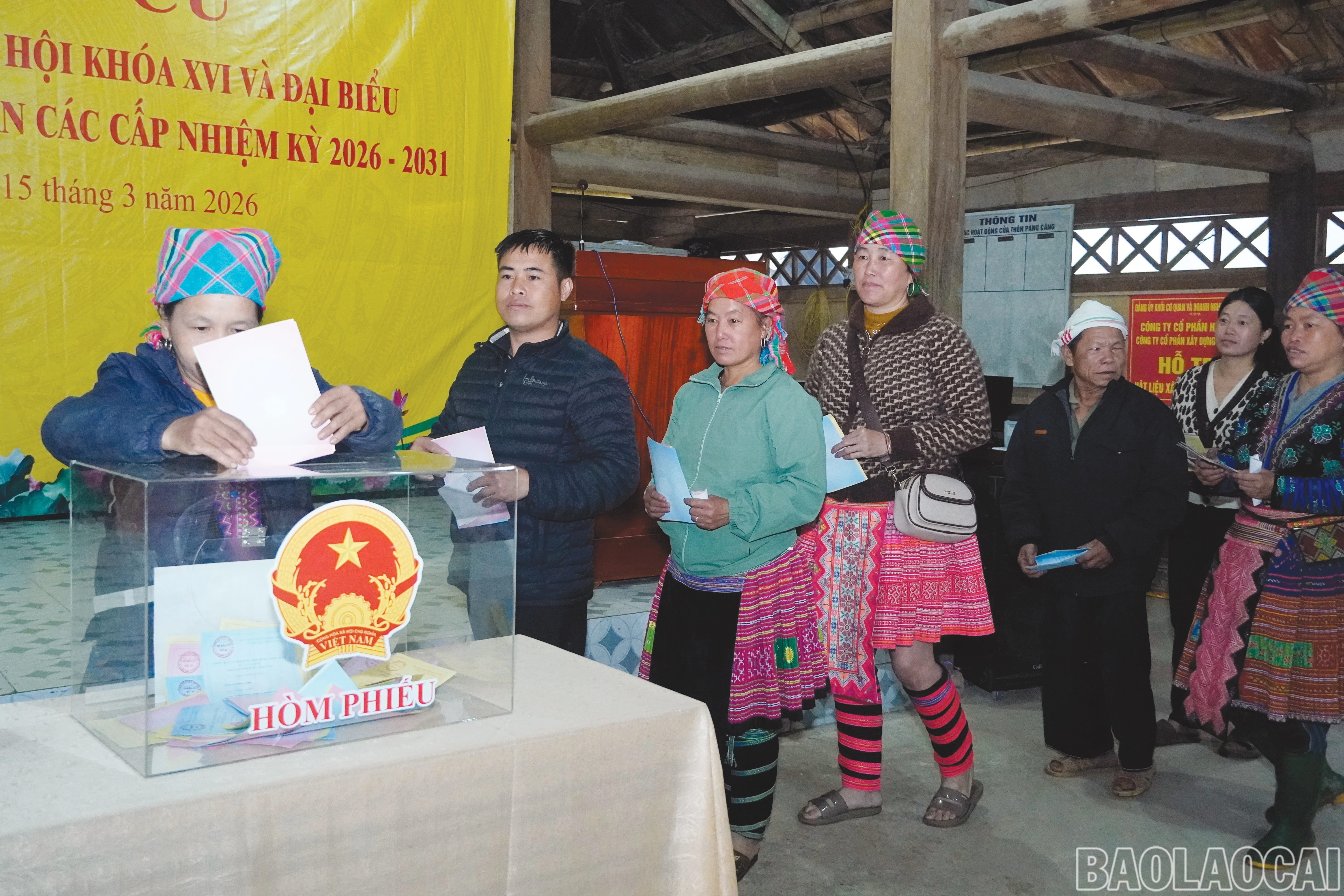 baolaocai-br_dtts5.jpg