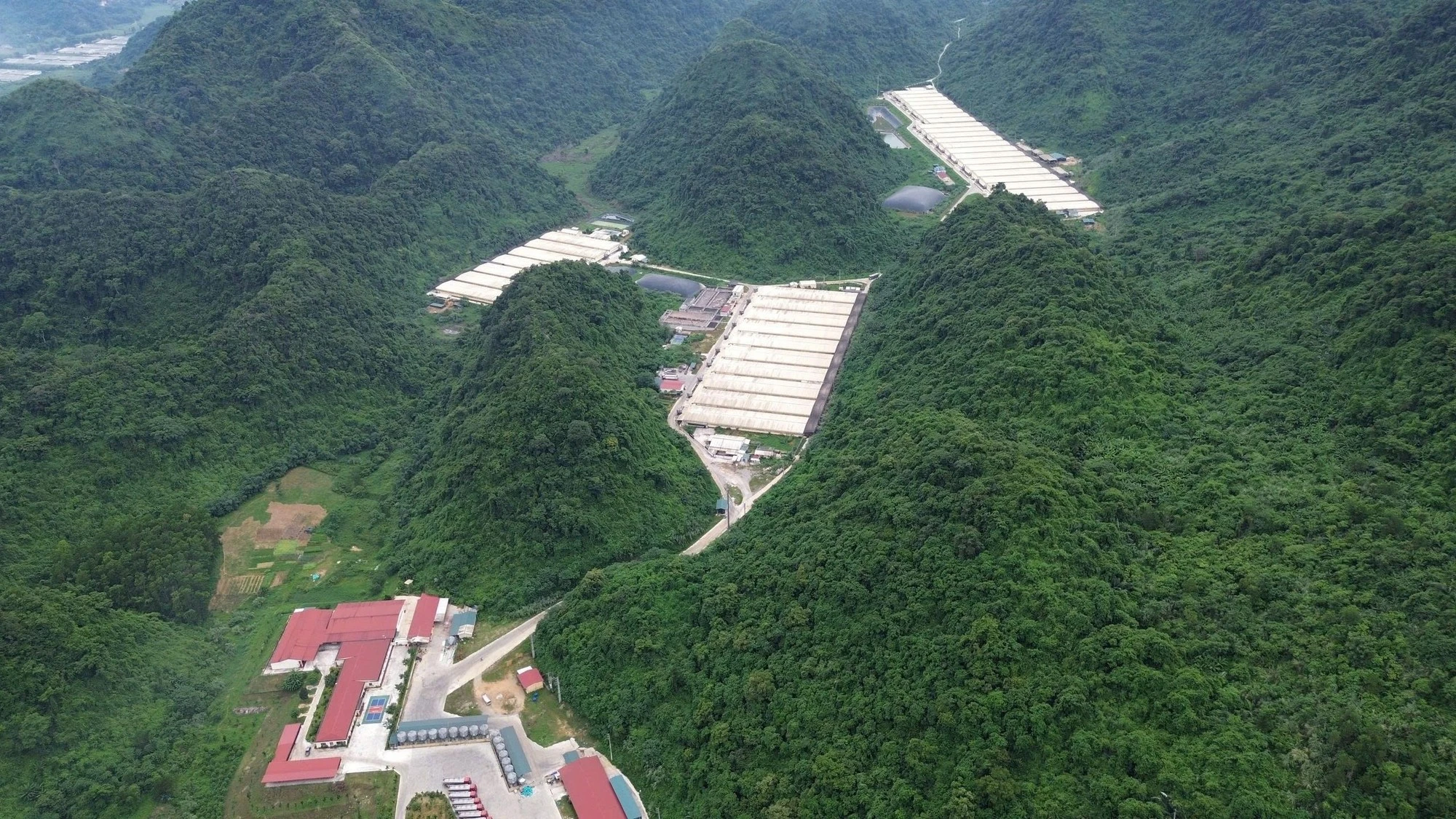 Trang trại chăn nuôi lợn của Công ty TNHH DABACO Thanh Hóa.