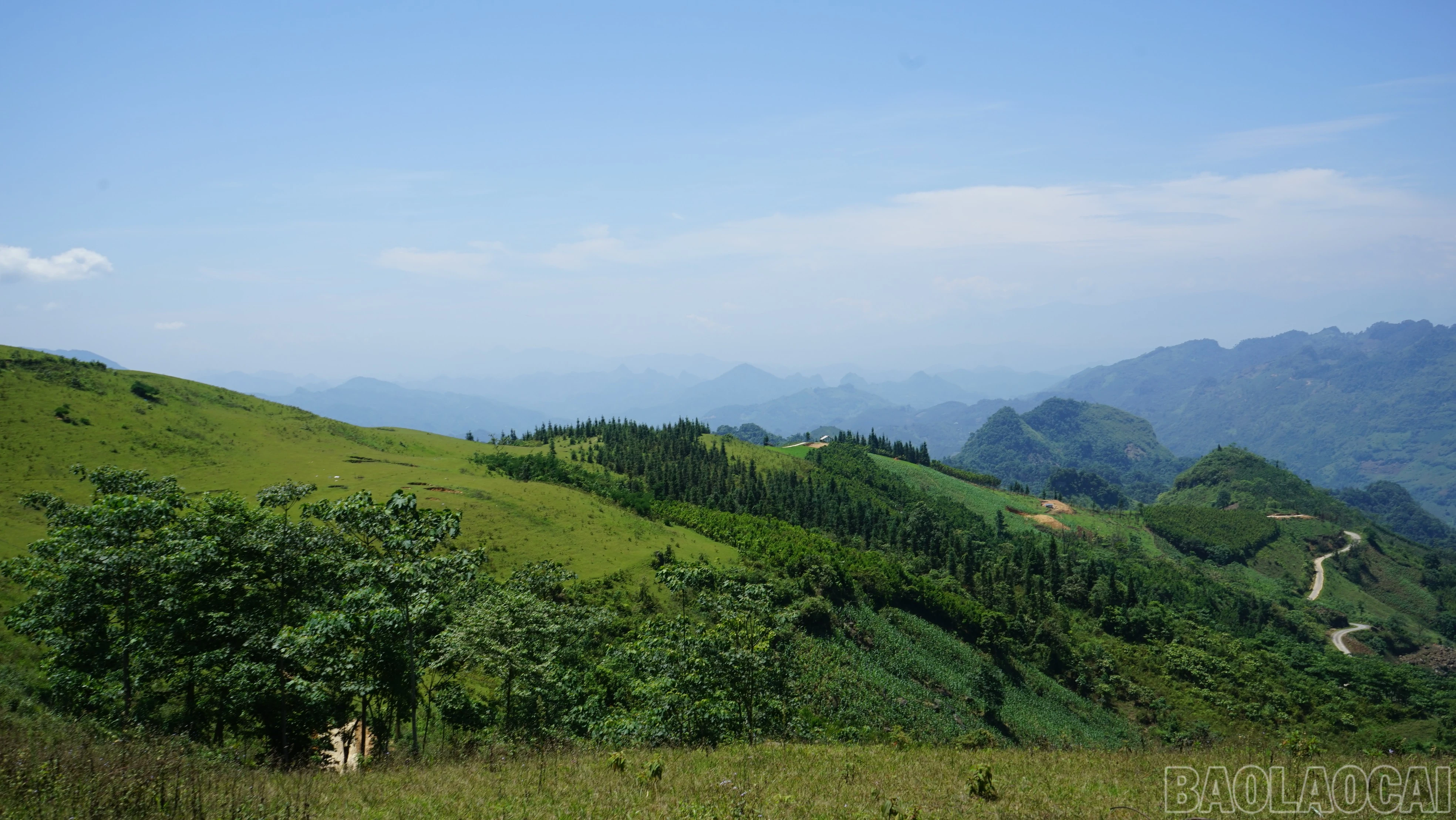 baolaocai-br_dsc02509.jpg