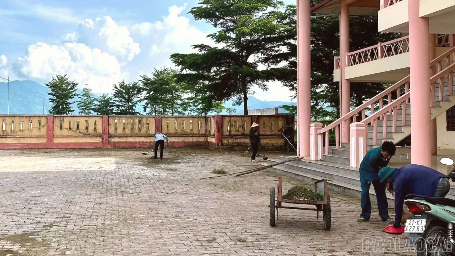 baolaocai-br_quetdon-4416.jpg
