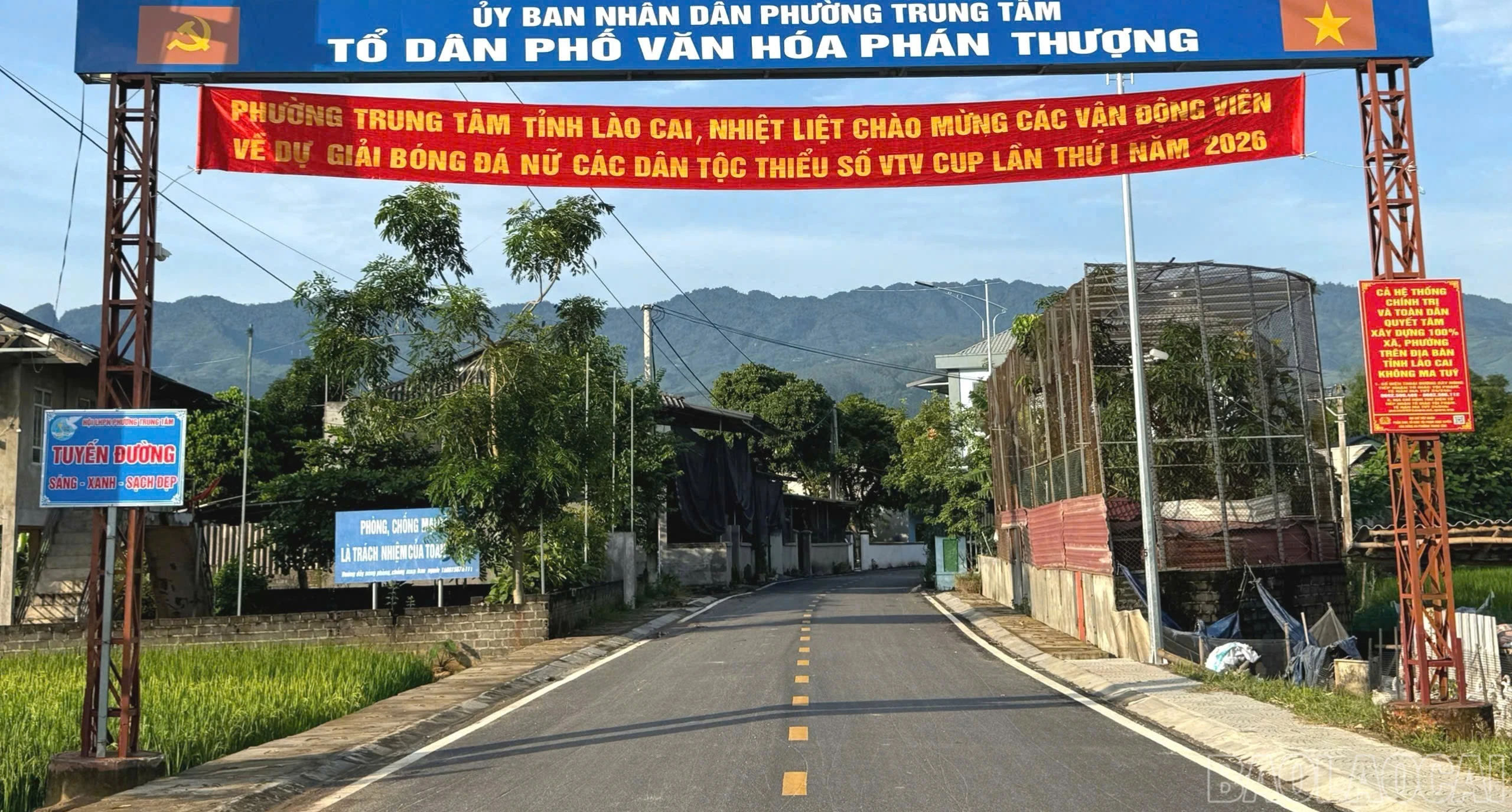 baolaocai-br_bangzon-5175.jpg
