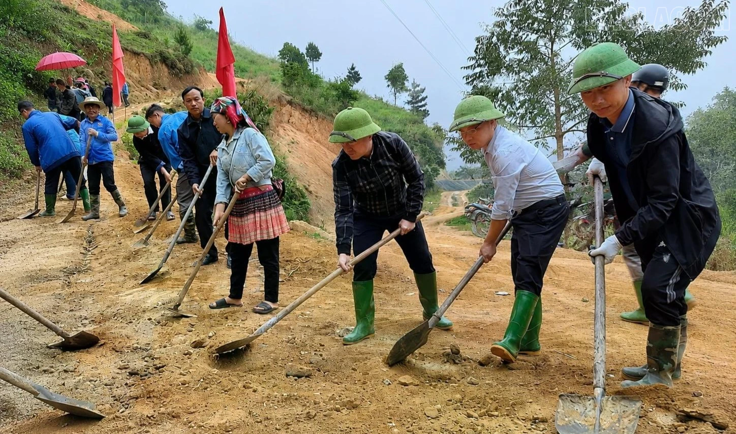 baolaocai-tr_gandan-7458.jpg