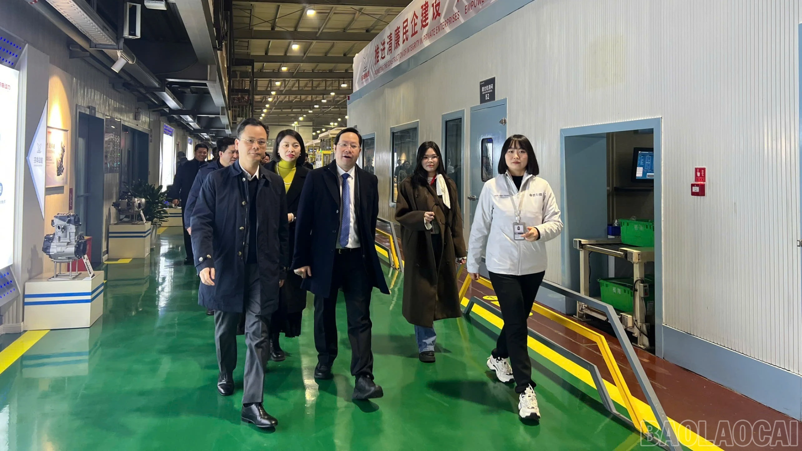 baolaocai-br_3bad994223daac84f5cb47.jpg