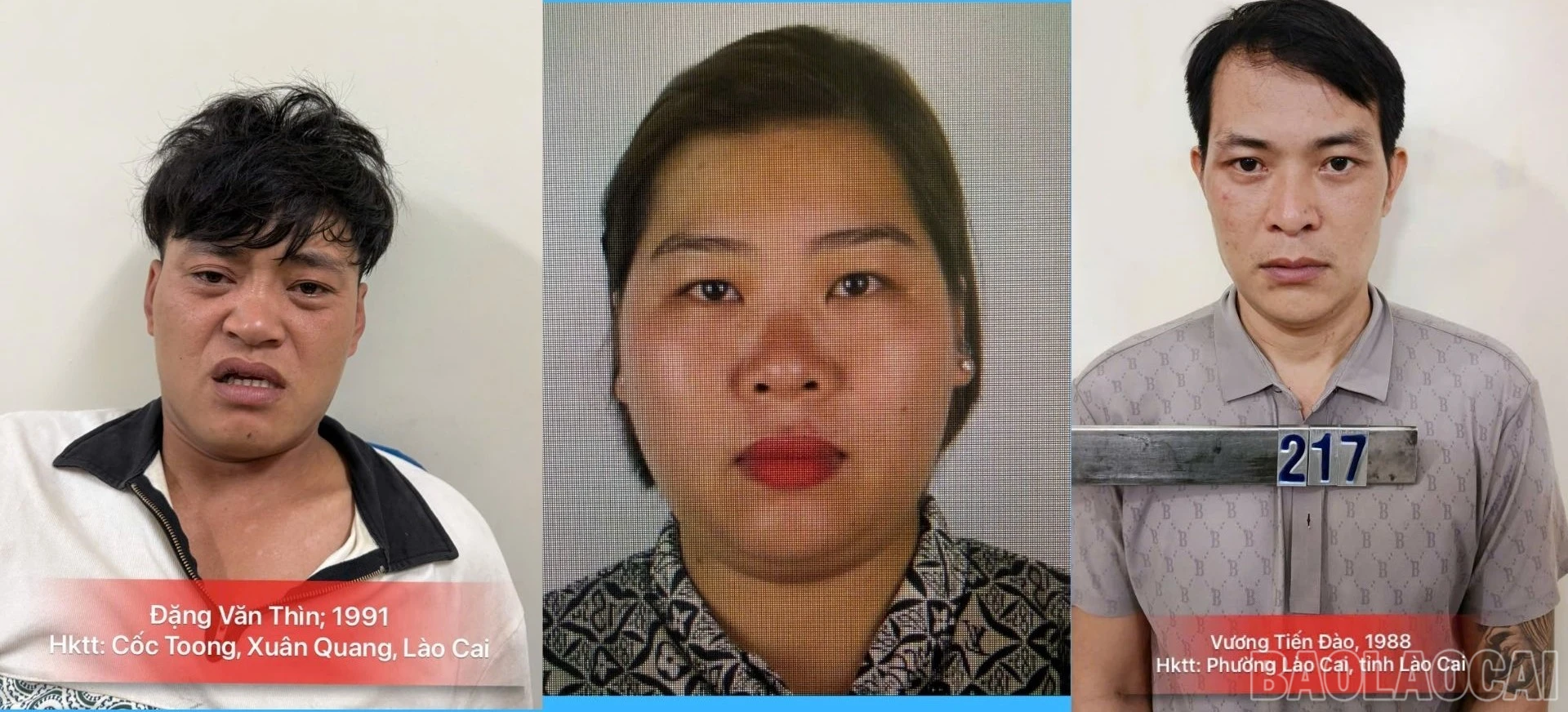 baolaocai-br_anh-1.jpg