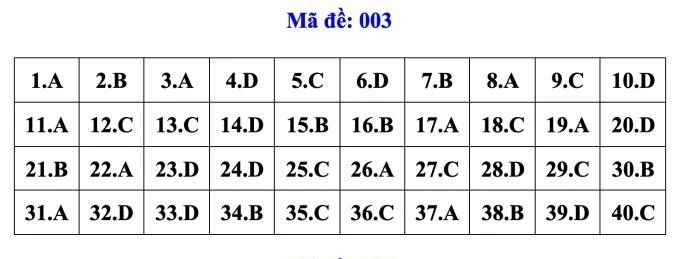 dapan003-272.jpg