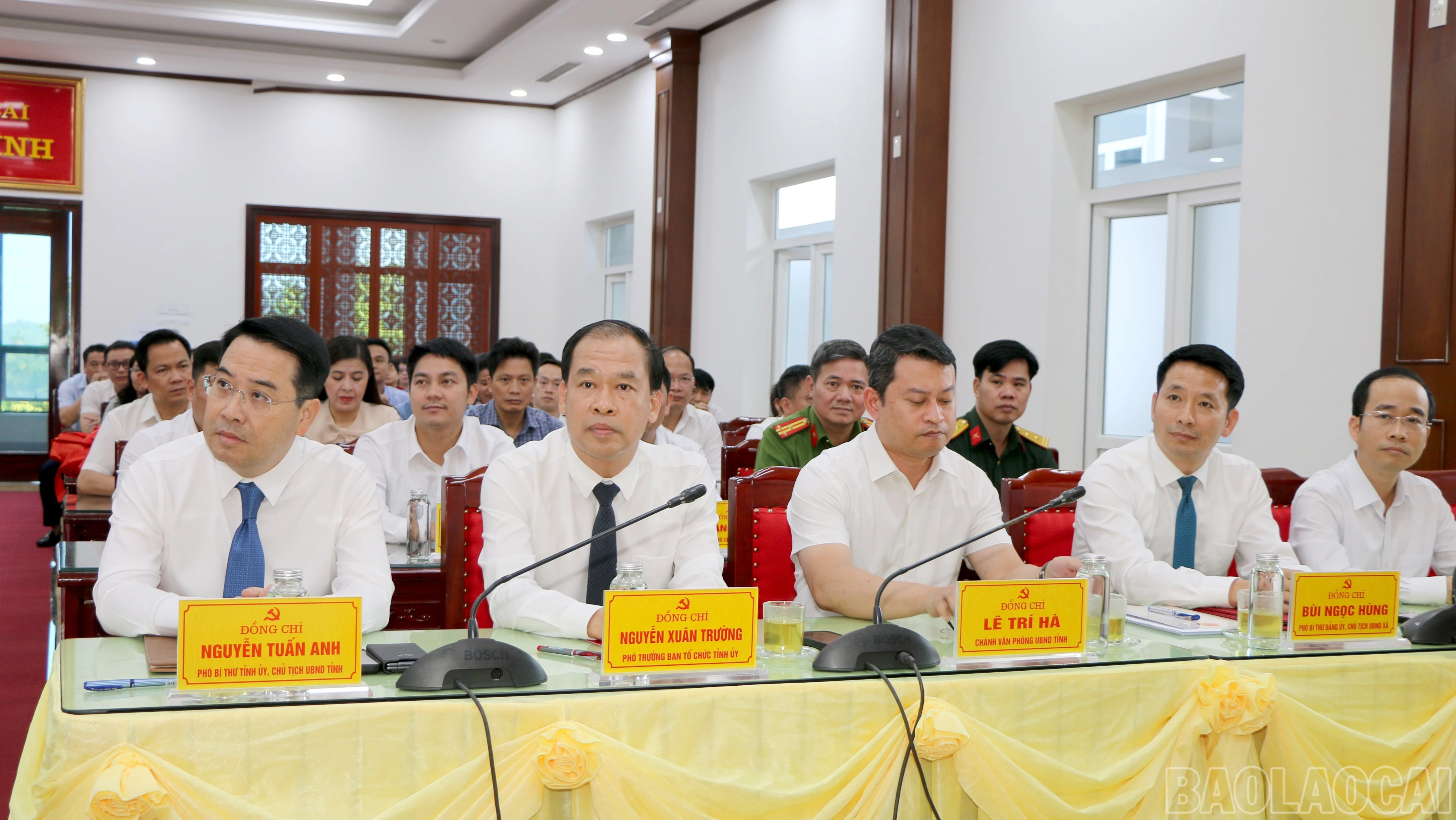 baolaocai-br-img-8794.jpg