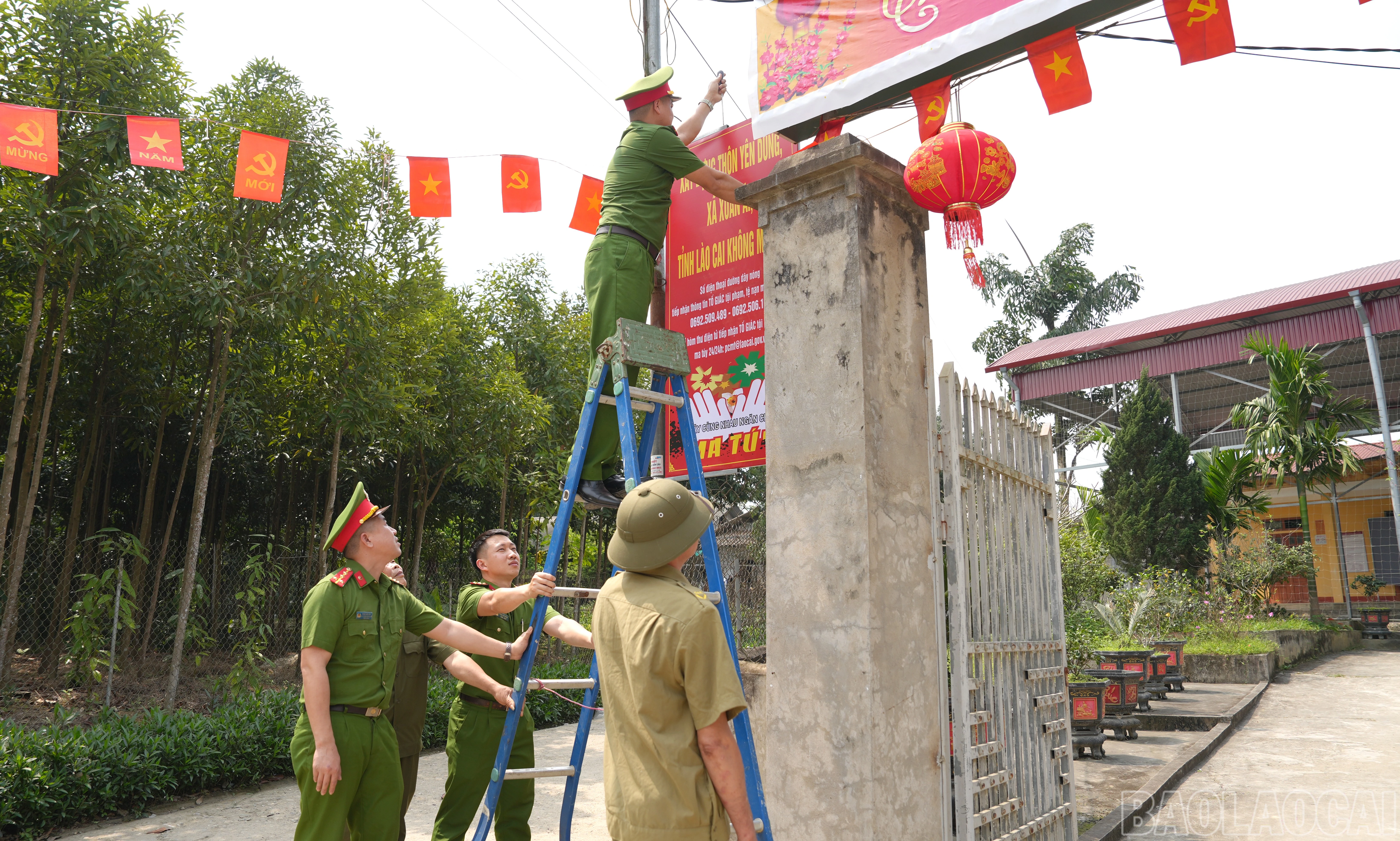 baolaocai-br_anh2-1.jpg