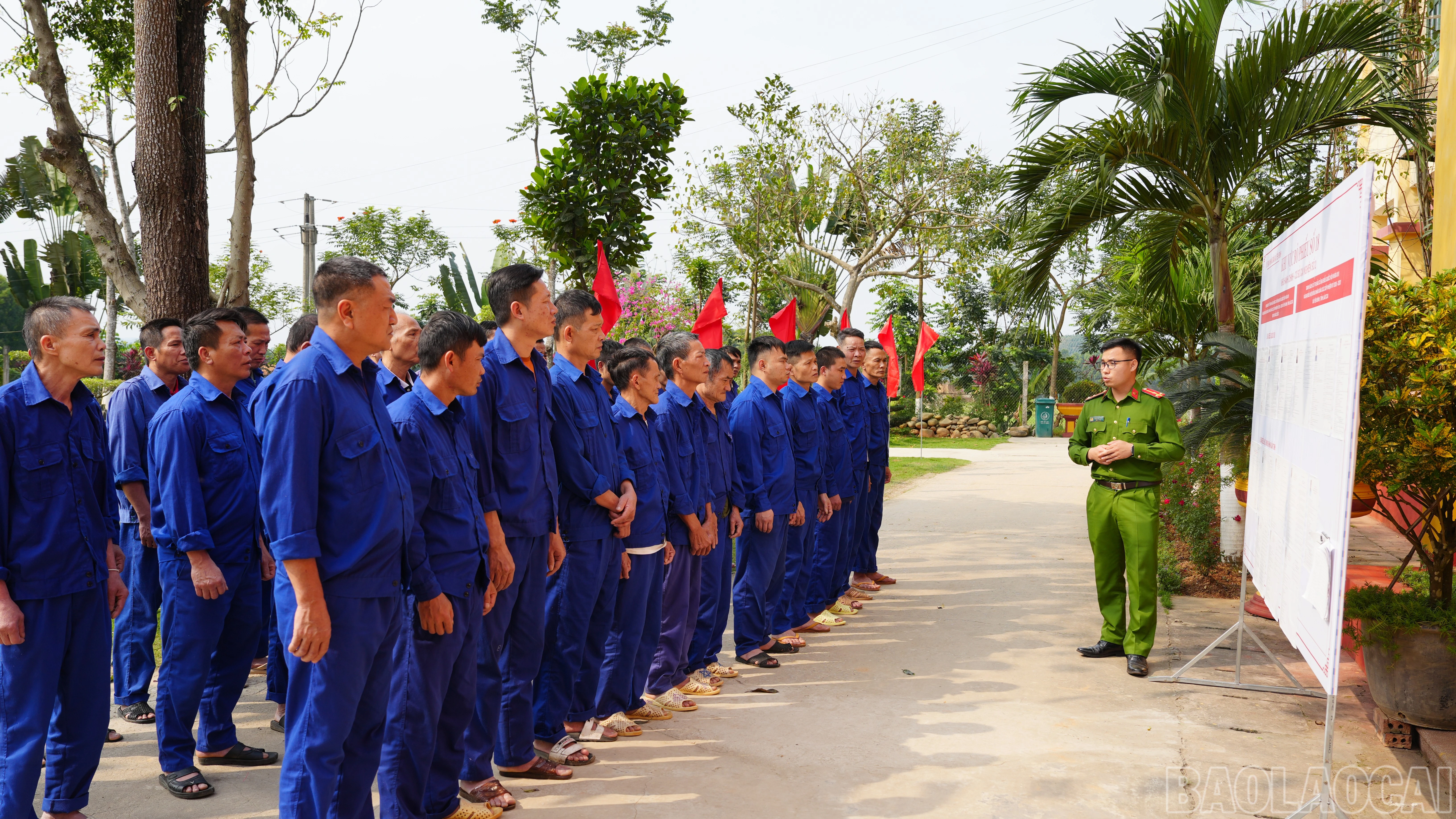 baolaocai-br_anh3.jpg