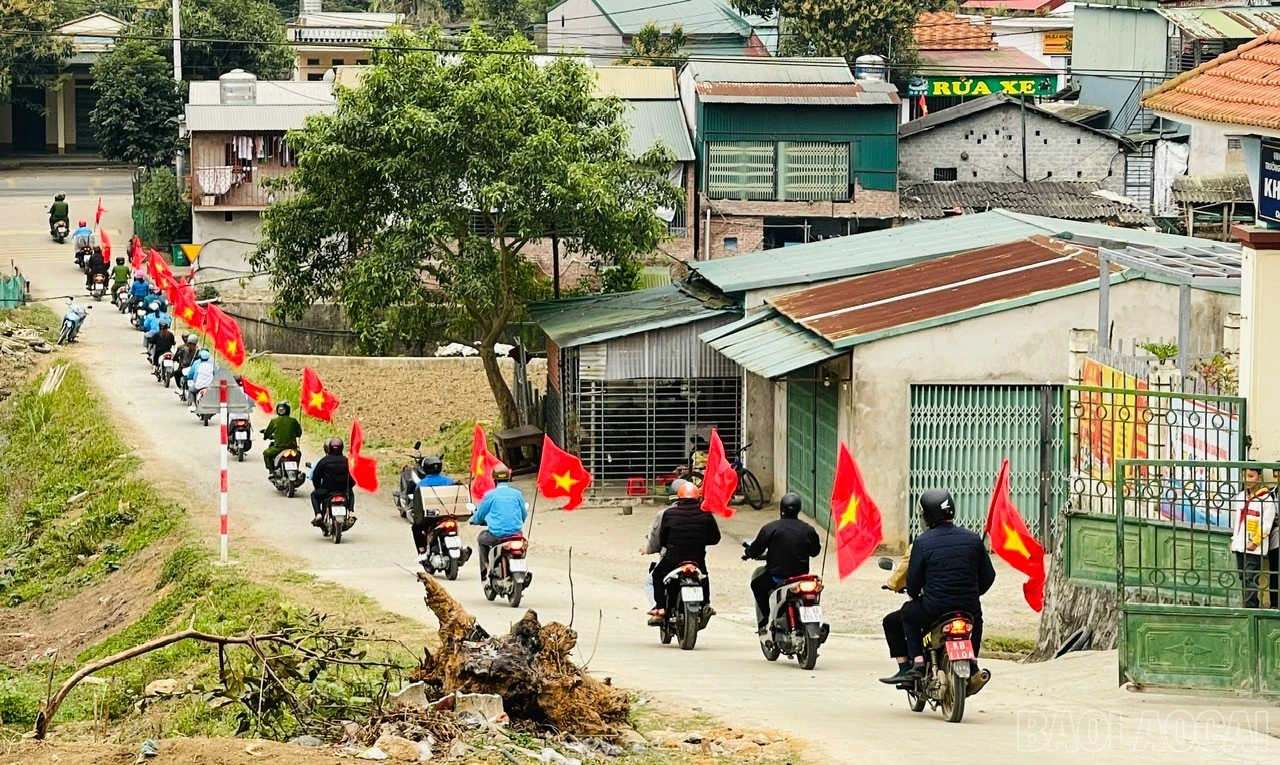 baolaocai-br_6.jpg