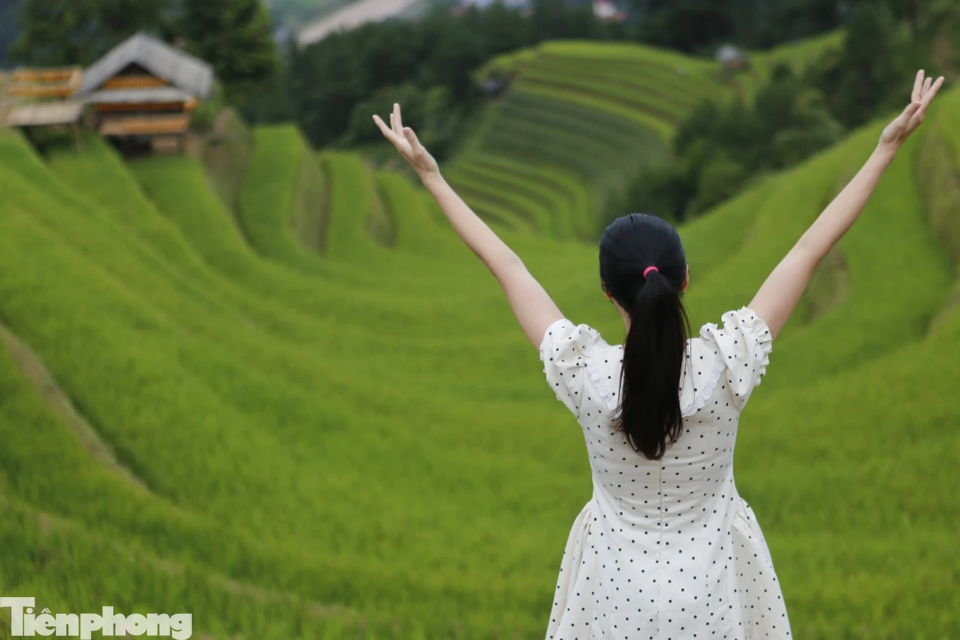 Chị Đỗ Thị Mai (ở Hải Phòng) chia sẻ, chị cùng nhóm bạn biết được vẻ đẹp của ruộng bậc thang Mù Cang Chải qua mạng xã hội và thông tin trên báo chí nên tranh thủ dịp nghỉ lễ dài ngày, cả nhóm đã lên lịch đi Mù Cang Chải để trải nghiệm. "Thật sự vẻ đẹp của ruộng bậc thang còn hơn những gì thấy trên phim ảnh, mọi người đều cố gắng ghi lại thật nhiều hình ảnh tại đây để về khoe với mọi người", chị Mai nói.