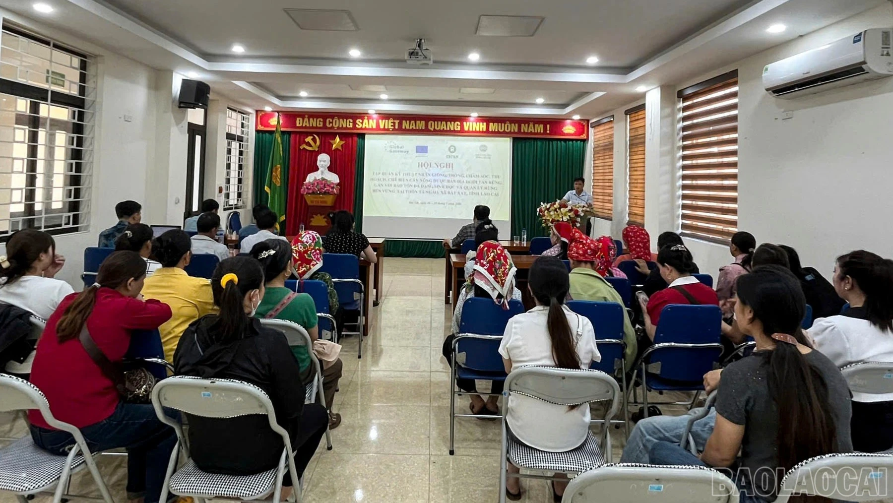 baolaocai-br_quangcanh-6503.jpg