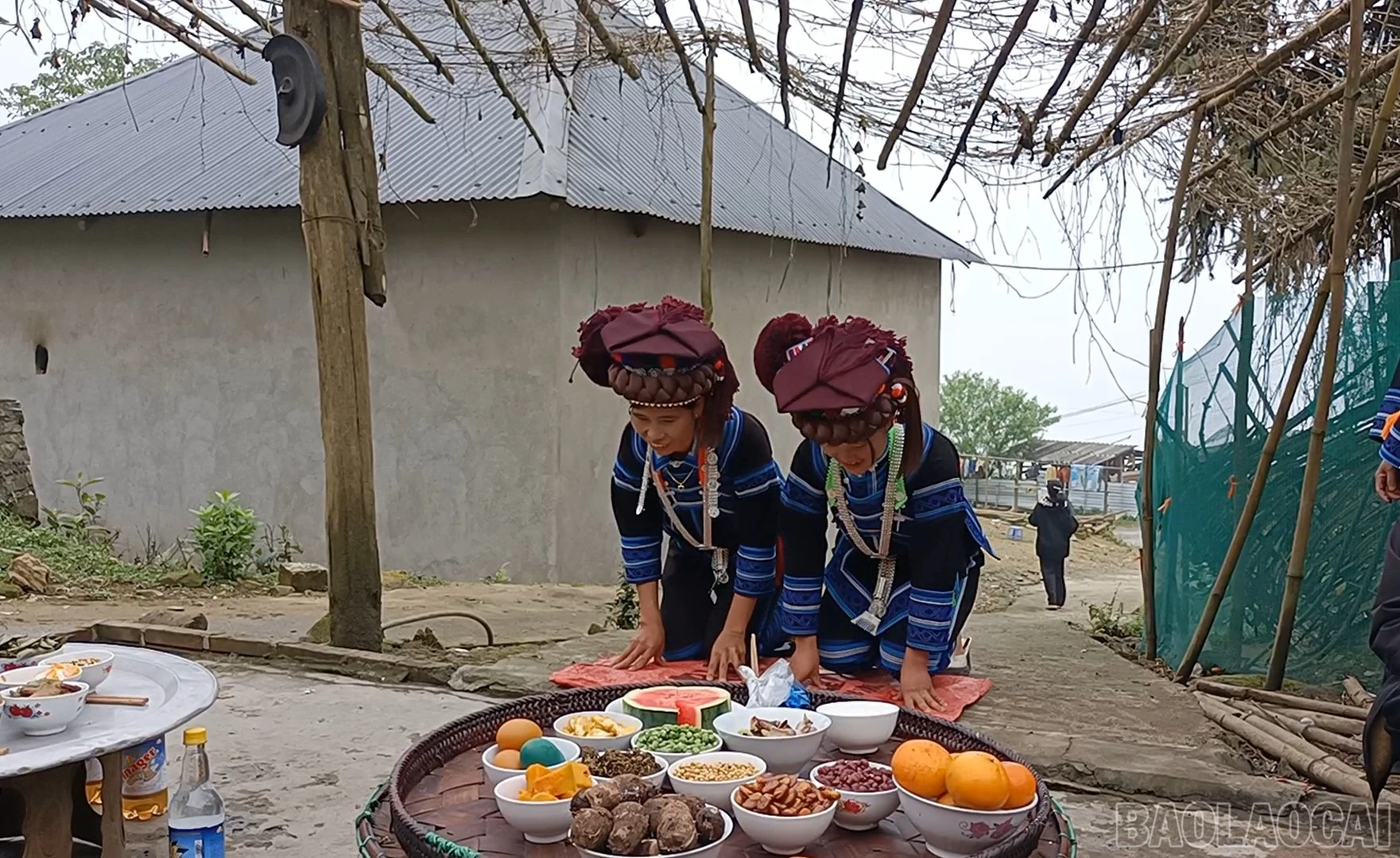 baolaocai-br_cogai.jpg