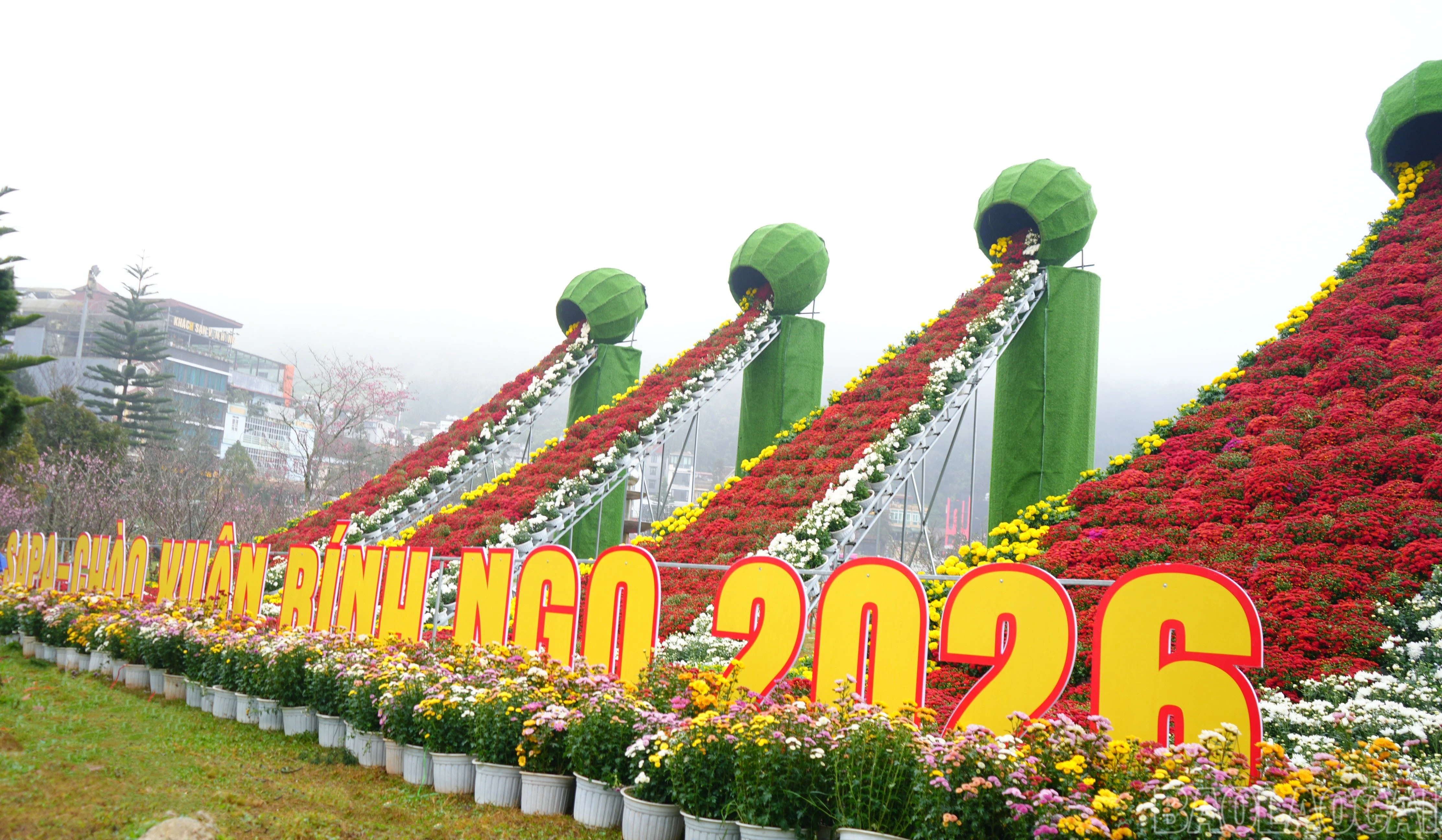 baolaocai-br_dsc04766.jpg