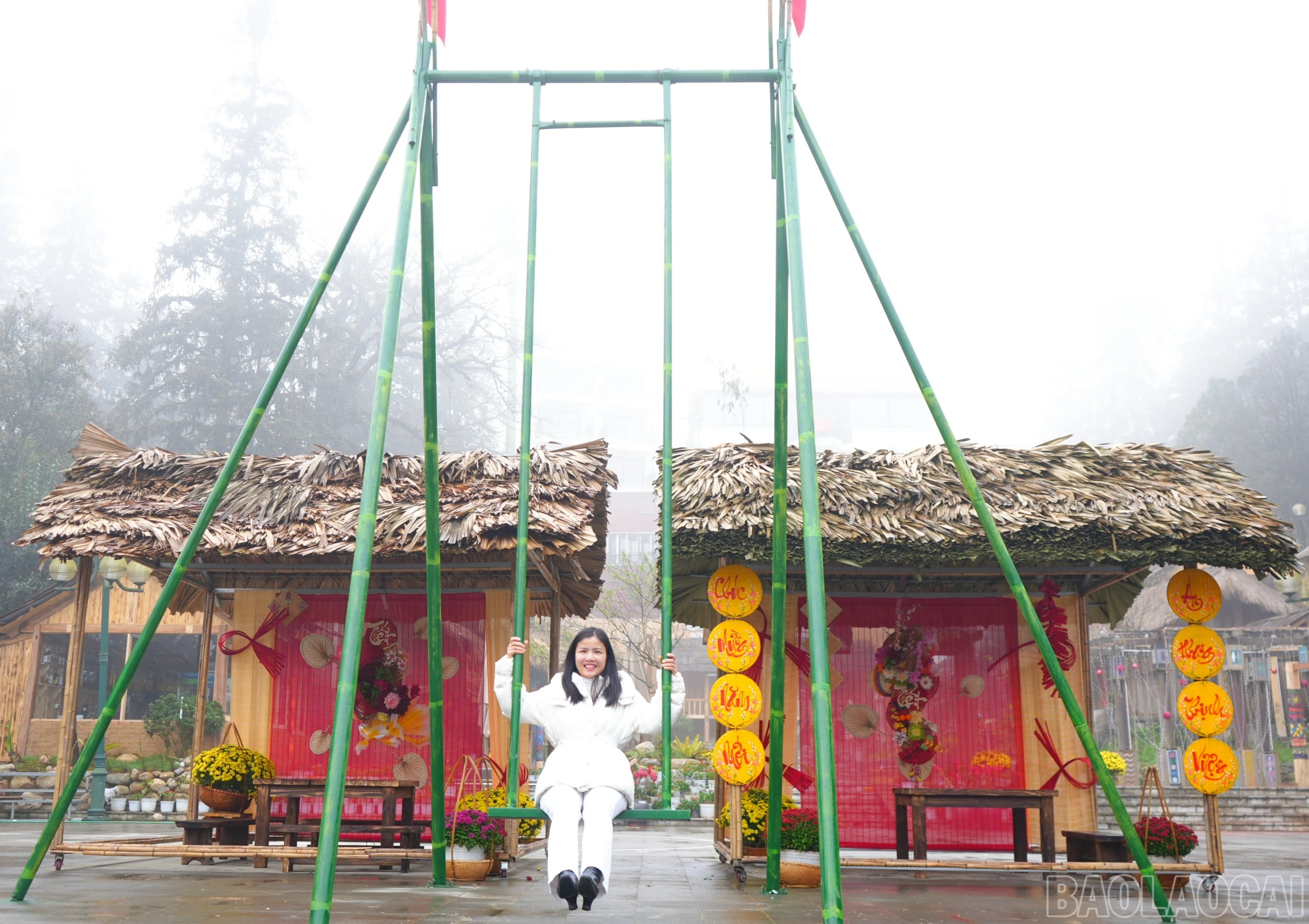 baolaocai-br_dsc04738.jpg