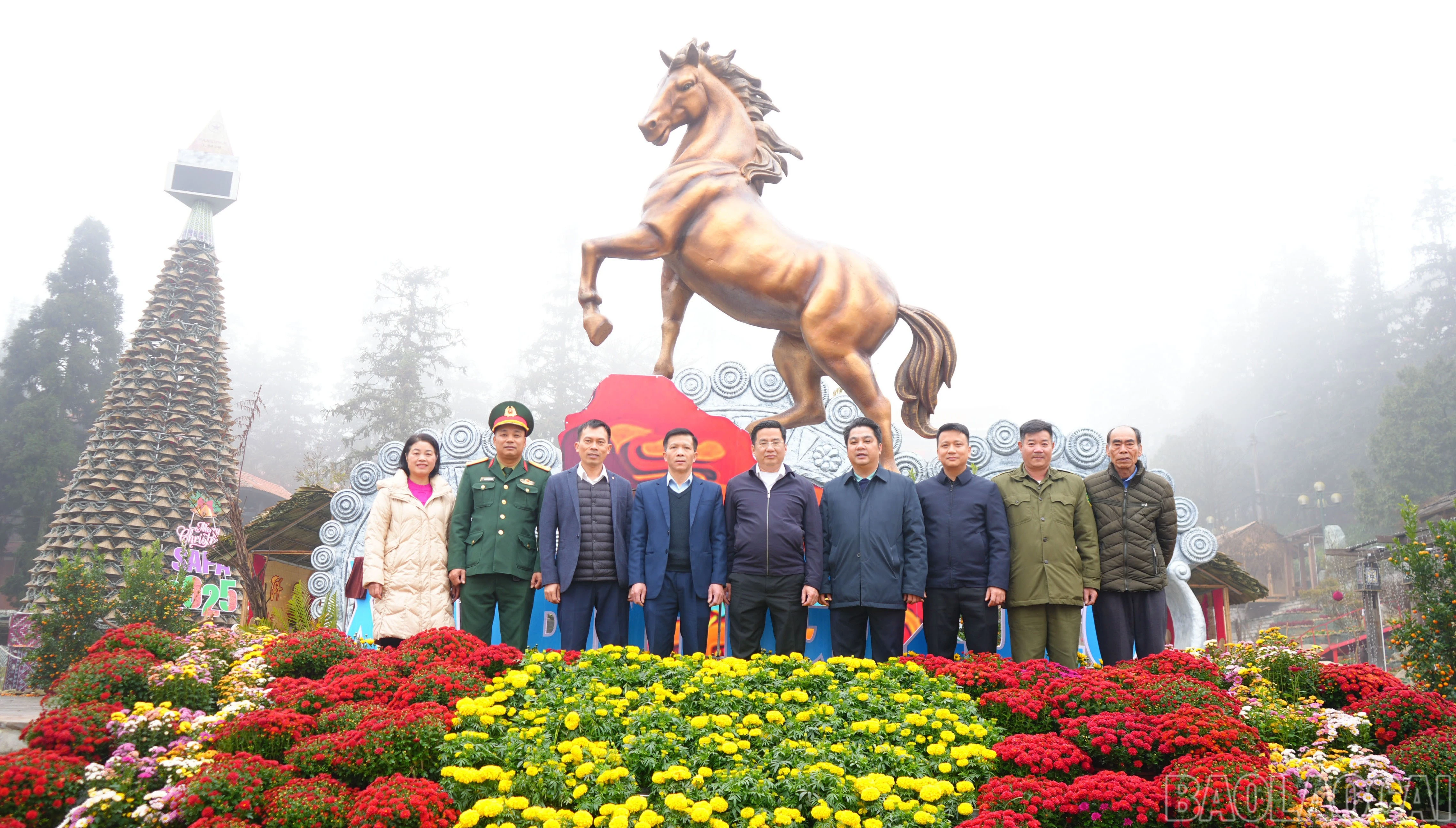 baolaocai-br_dsc04729.jpg
