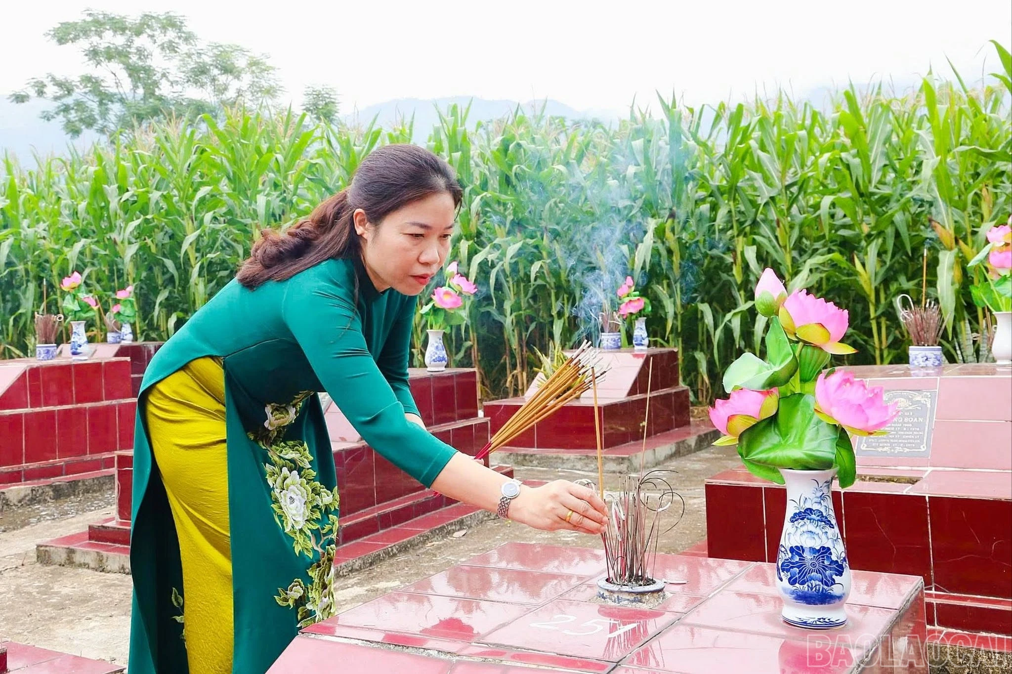 baolaocai-br_thaphuong-1.jpg