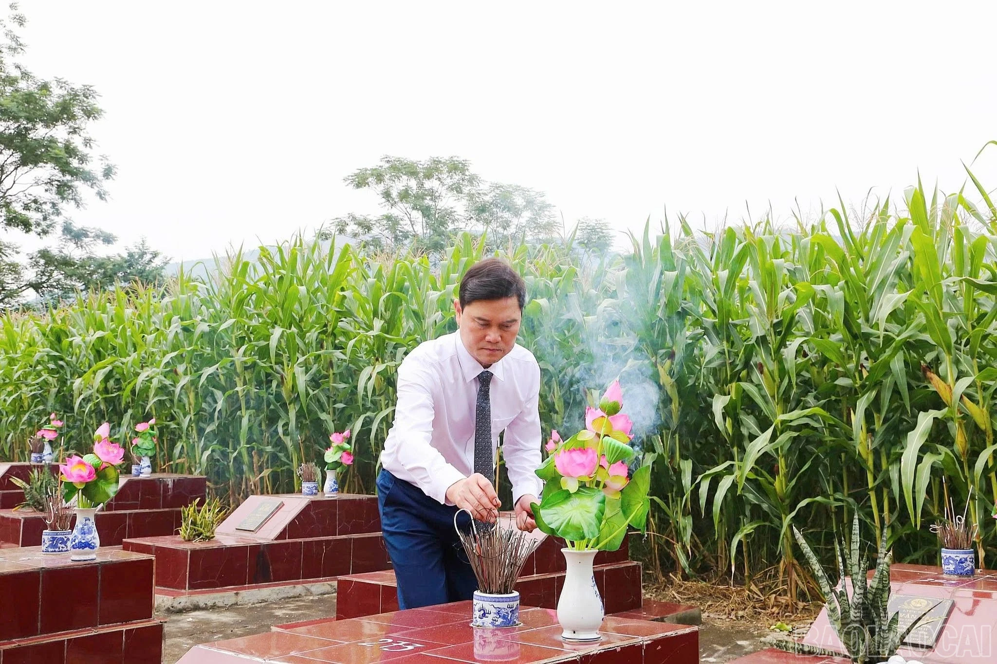 baolaocai-br_thaphuong-3.jpg