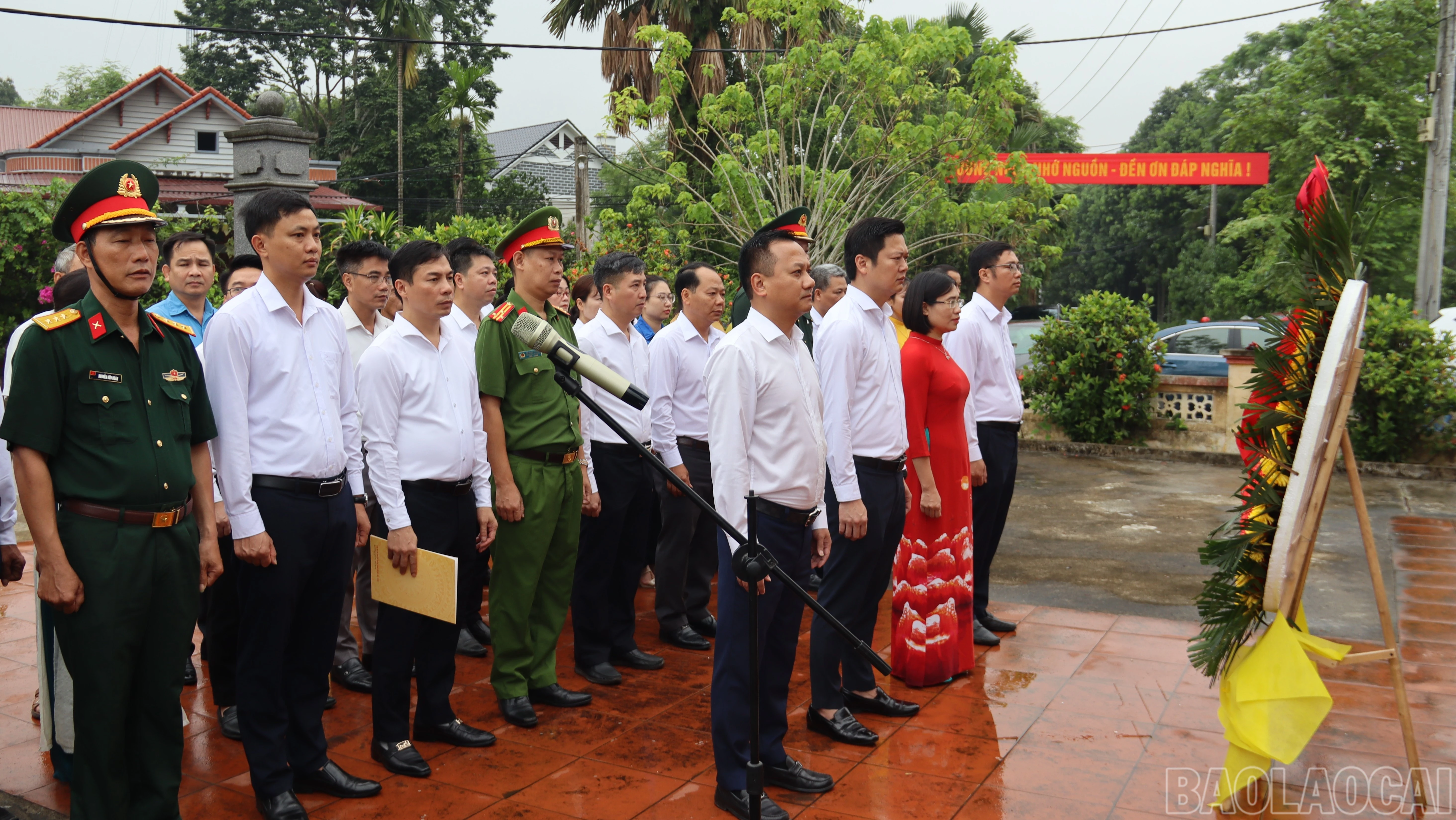 baolaocai-br_al1-9312.jpg