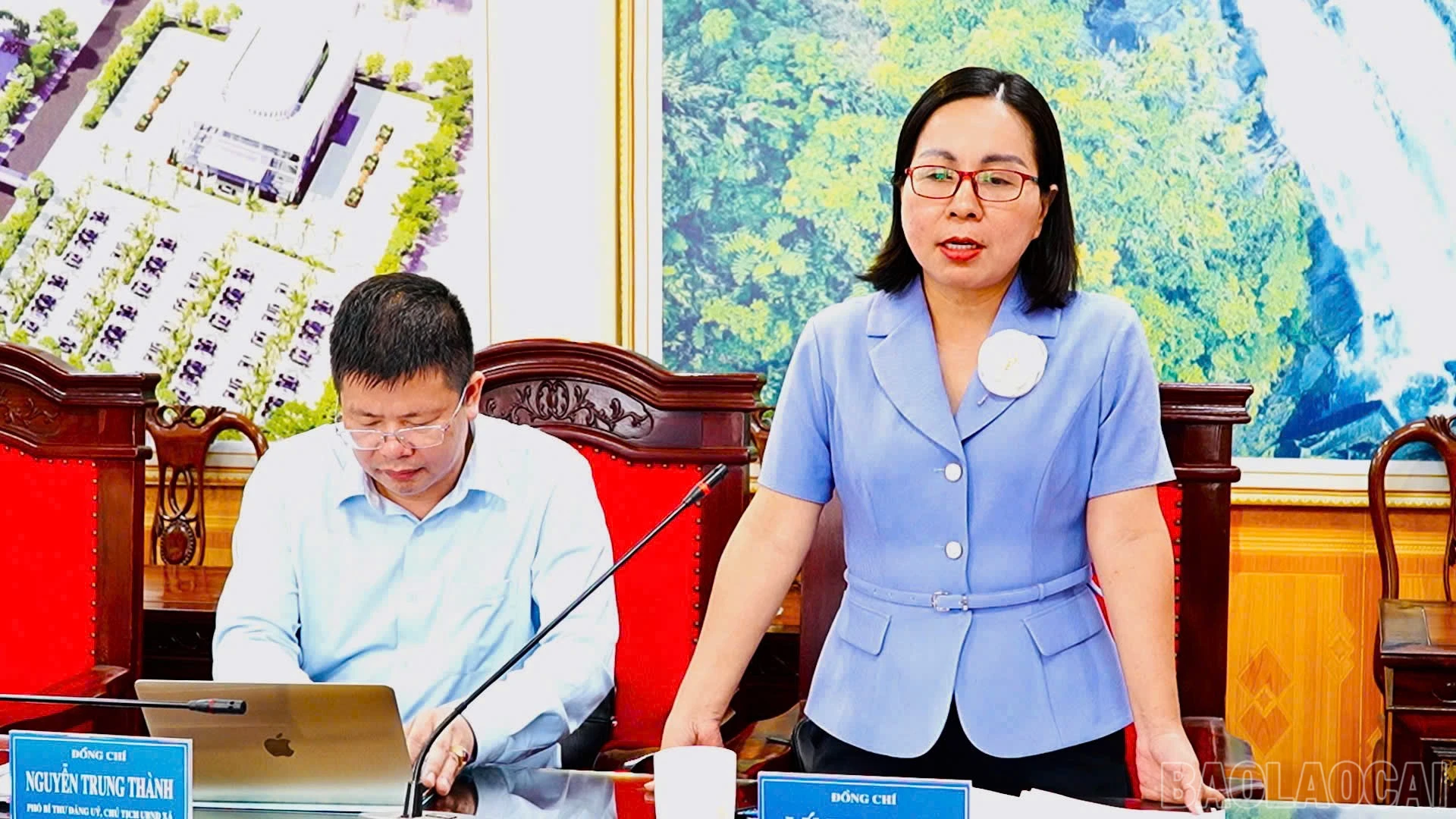 baolaocai-br_chivinh.jpg