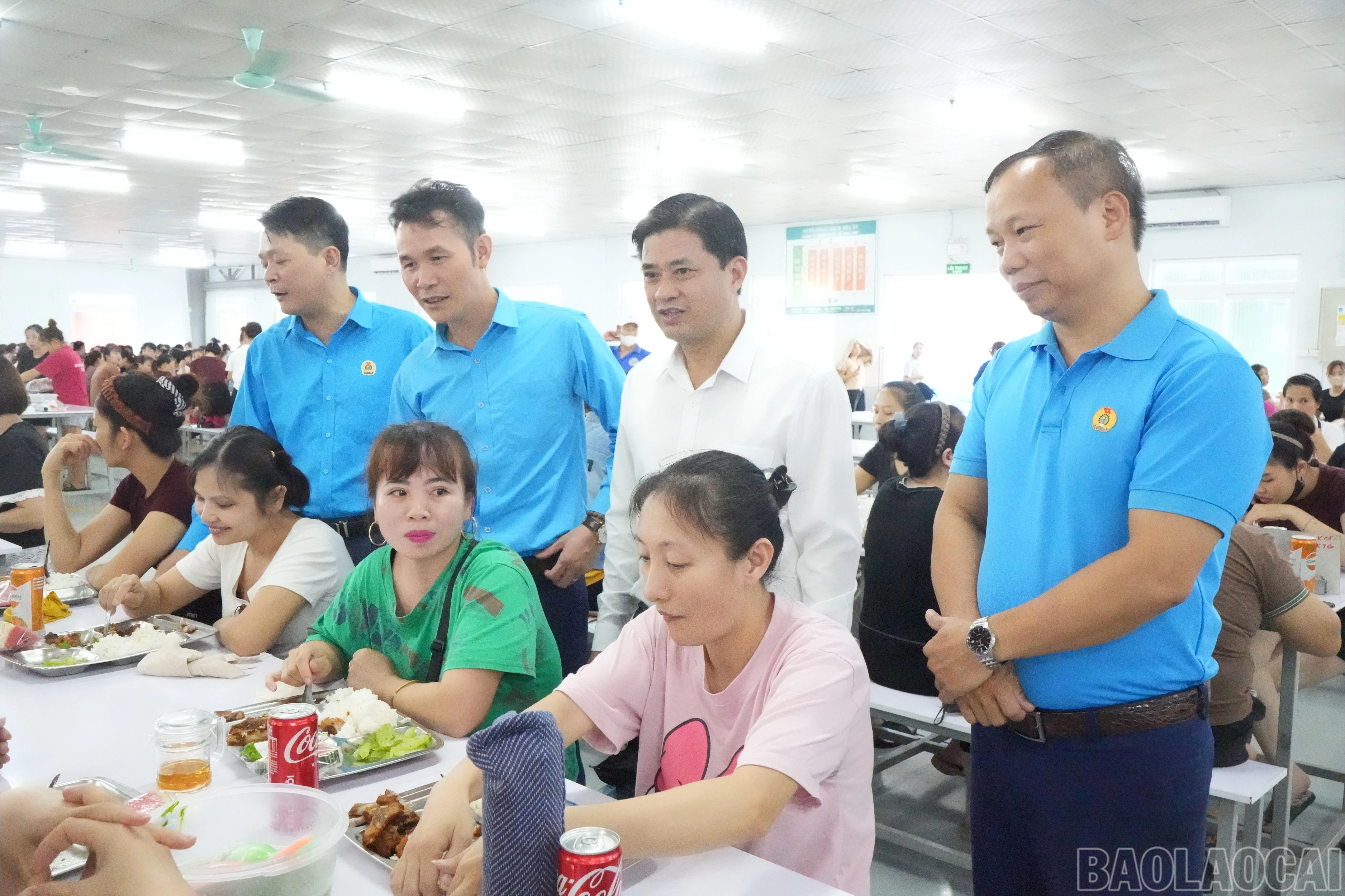baolaocai-br_anca-8318.jpg