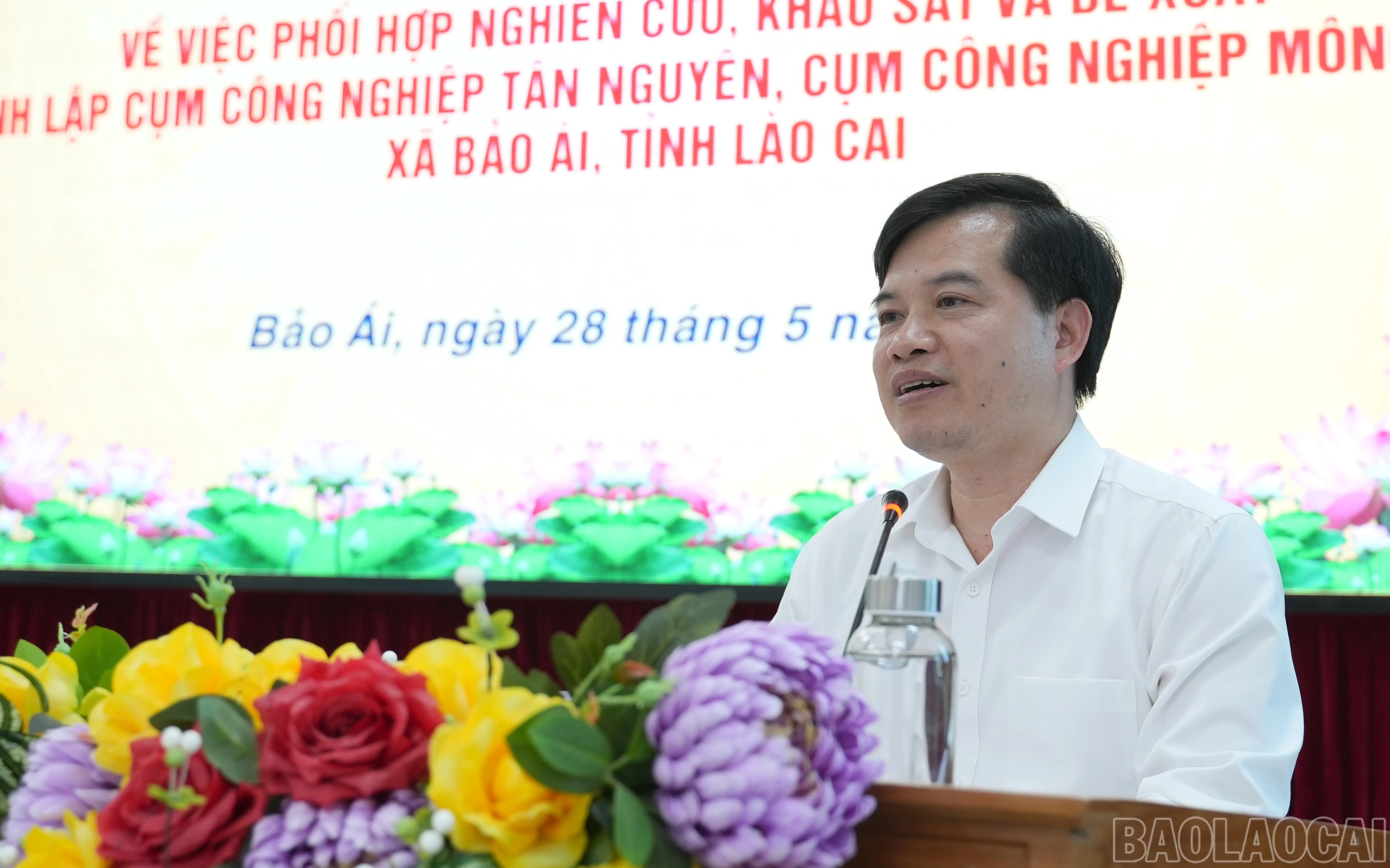 baolaocai-br_br-dsc08909.jpg