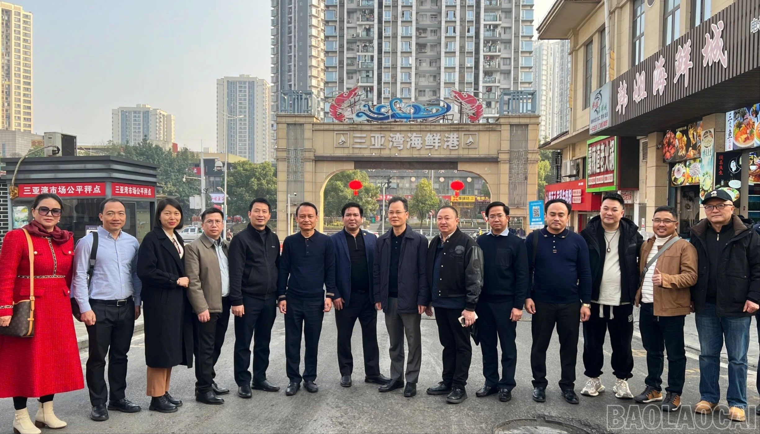 baolaocai-br-934109854915633653.jpg