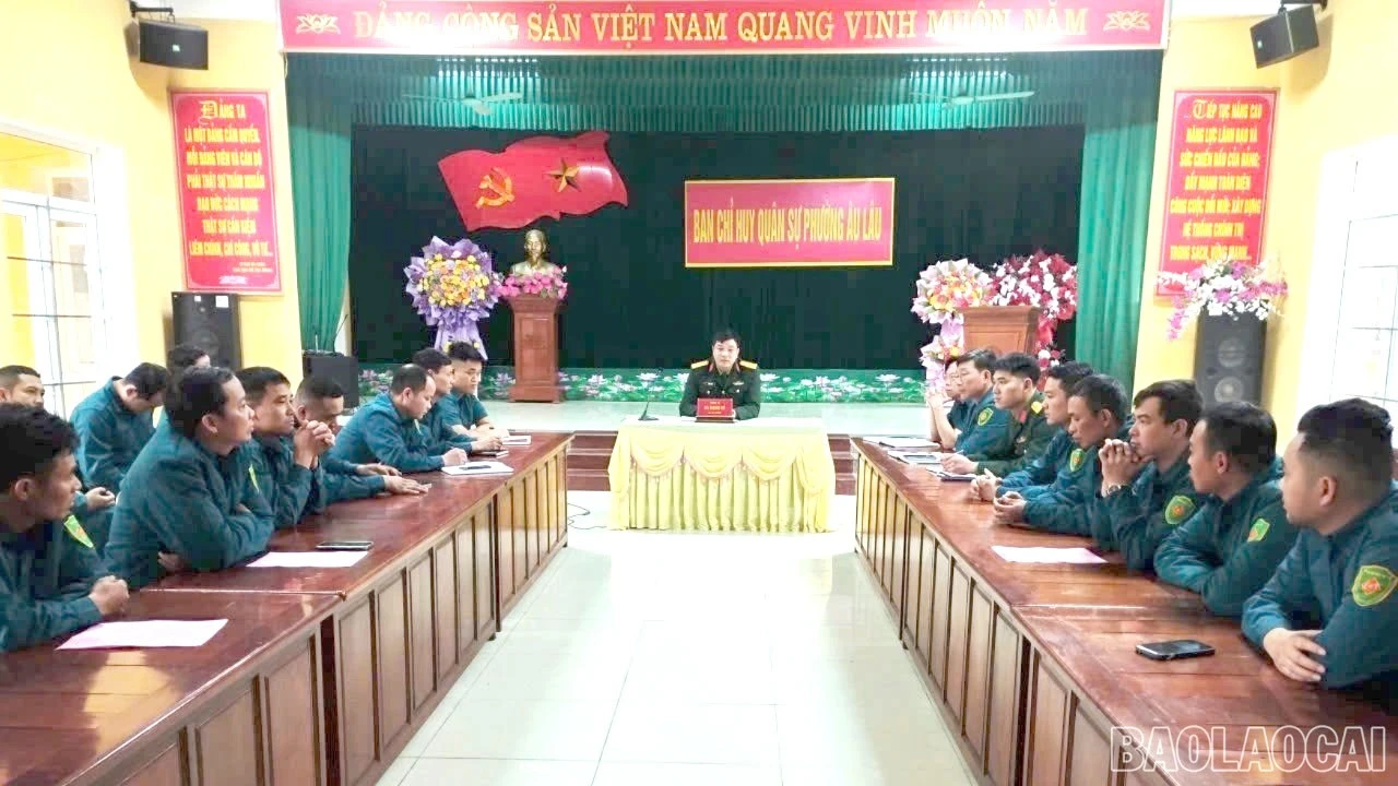 nvqs.jpg