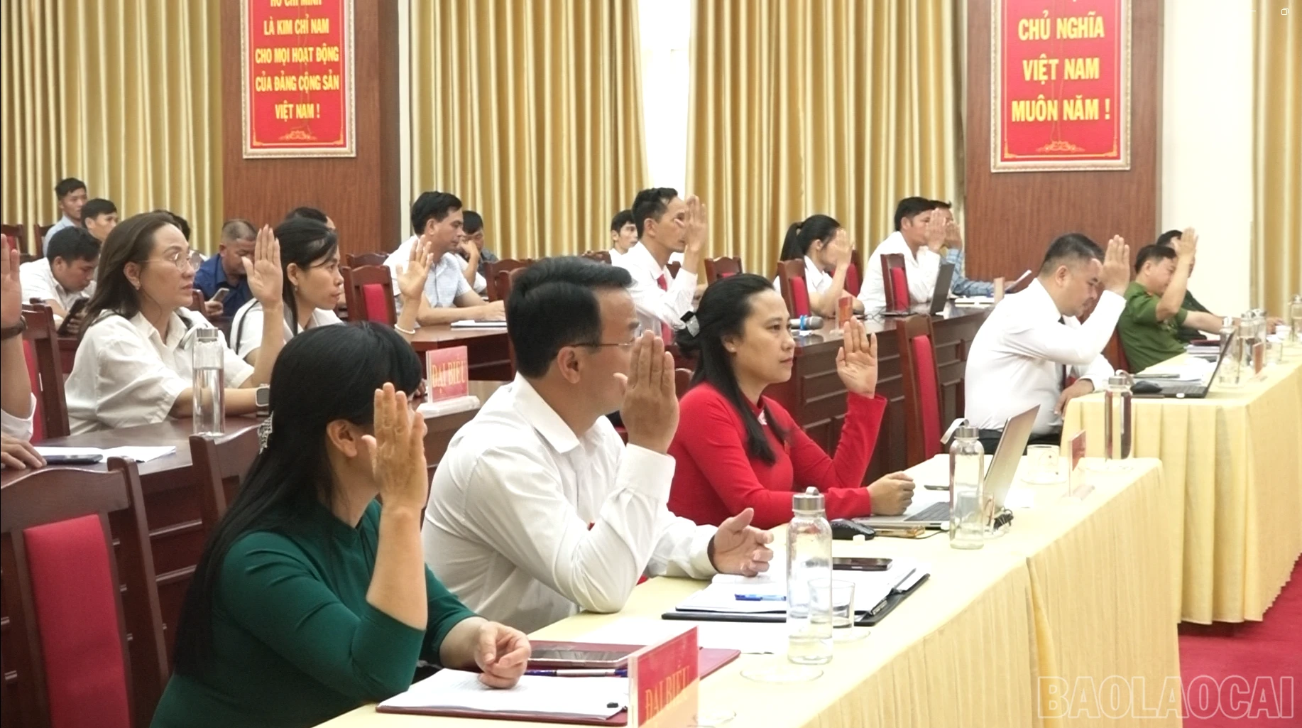 baolaocai-br_daibieu-2.png