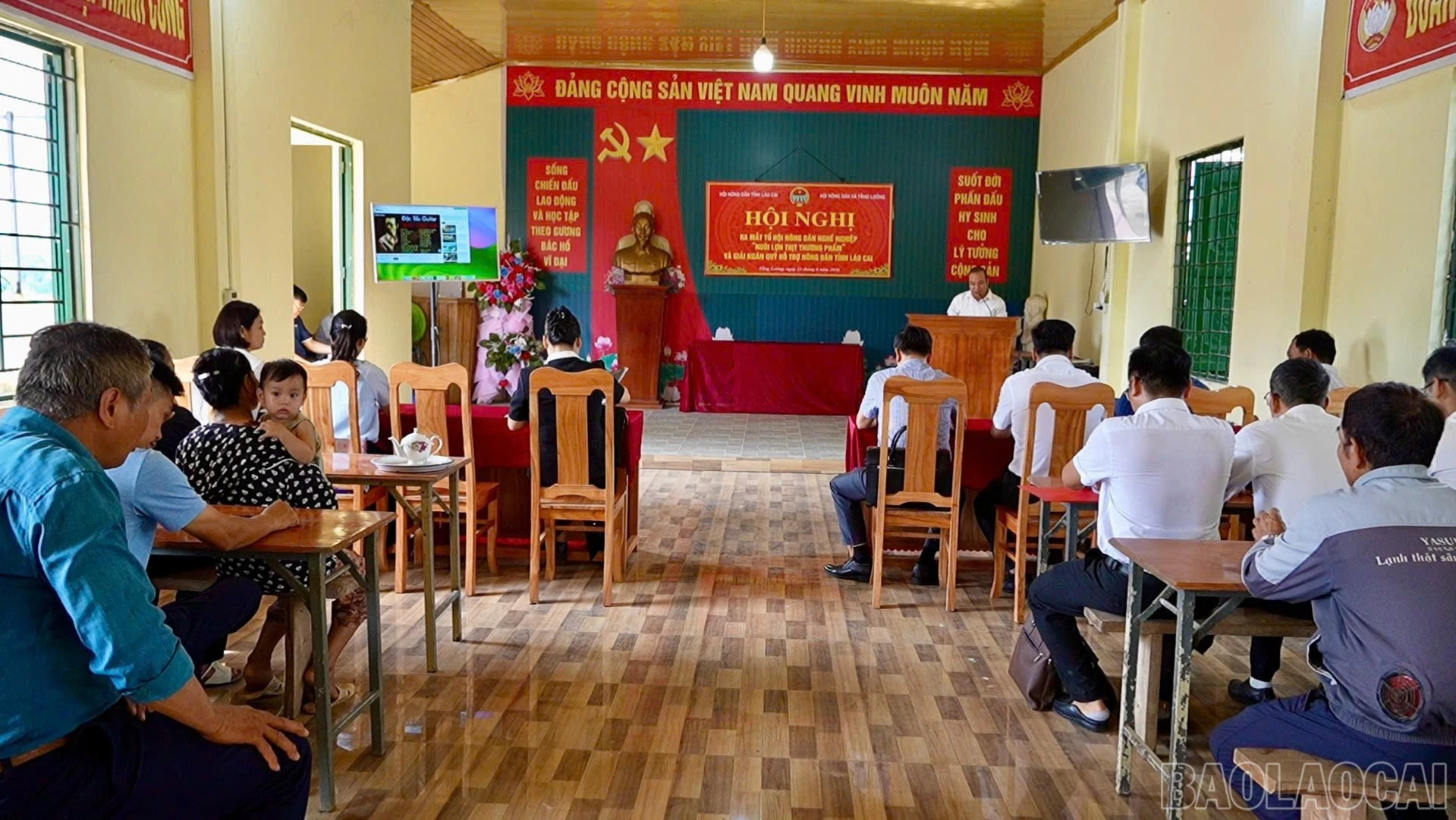 baolaocai-br_quangcanh-1271.jpg