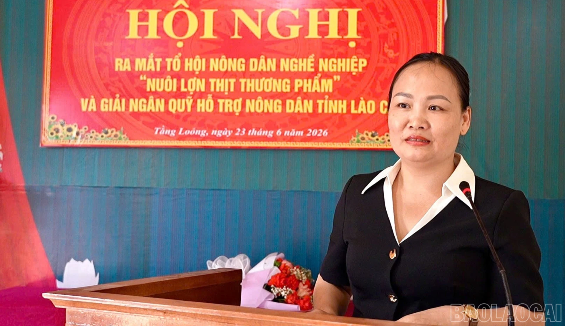 baolaocai-br_badong-2870.jpg