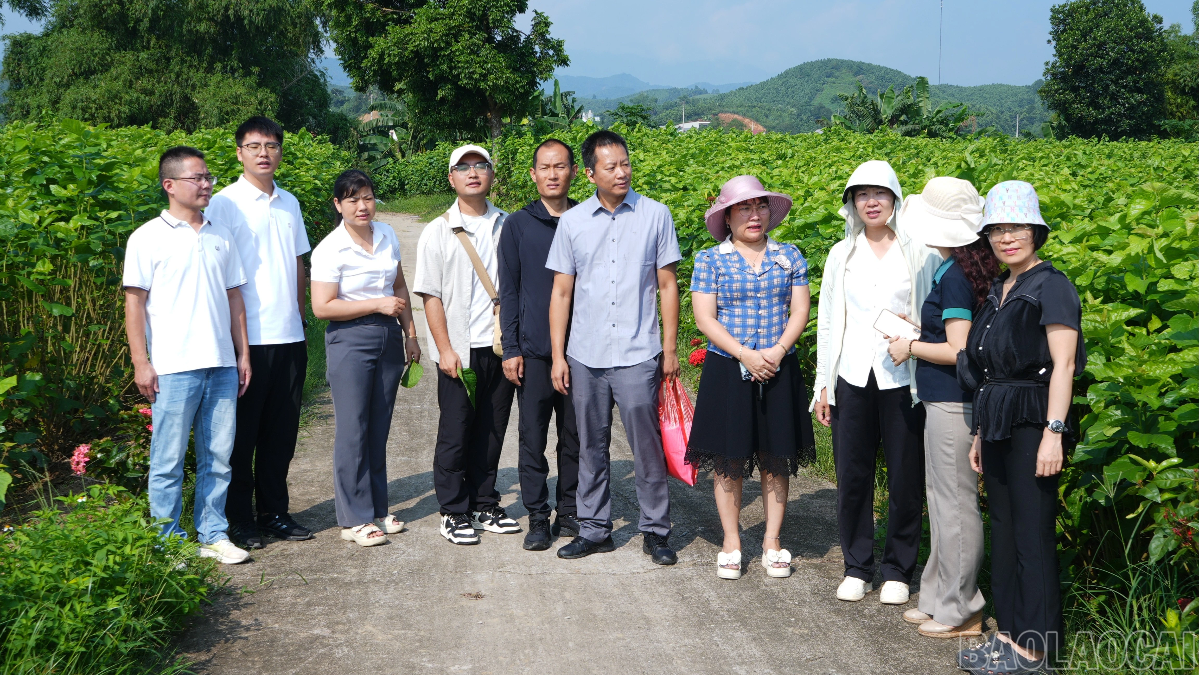 baolaocai-br_thamquan-3968.jpg