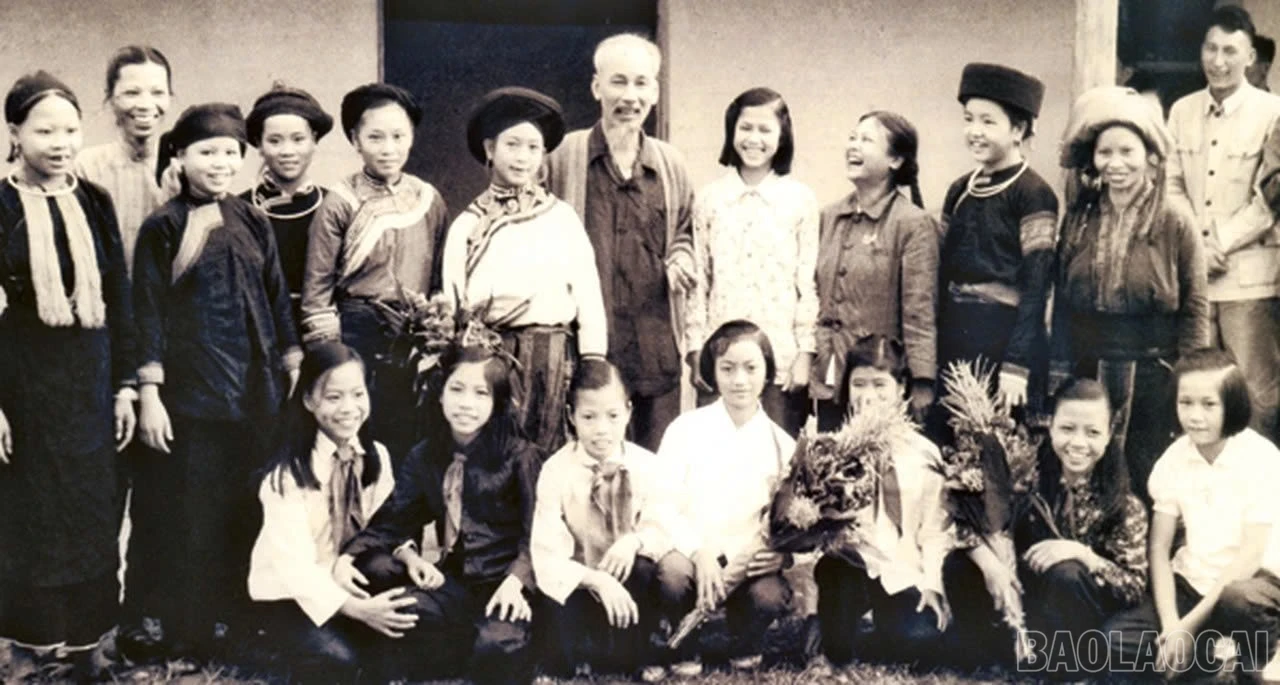 baolaocai-br_bacho.jpg