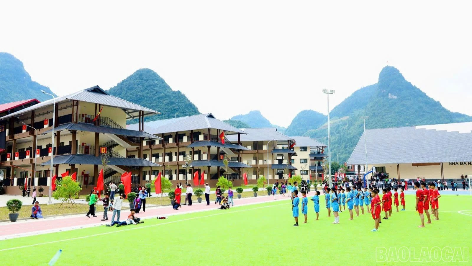baolaocai-br-lc3.jpg