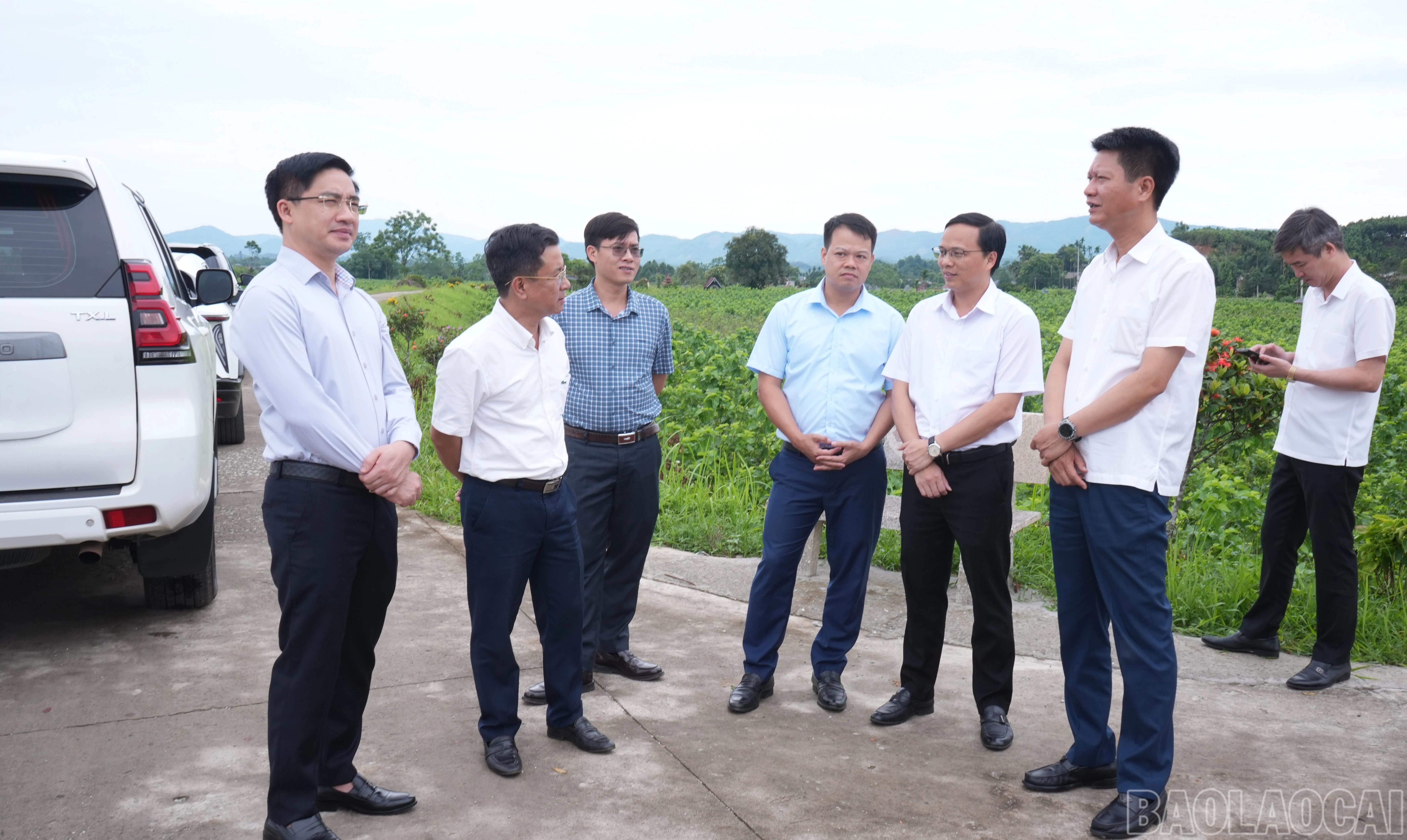 baolaocai-br_ongphuocthamdau-8807.jpg
