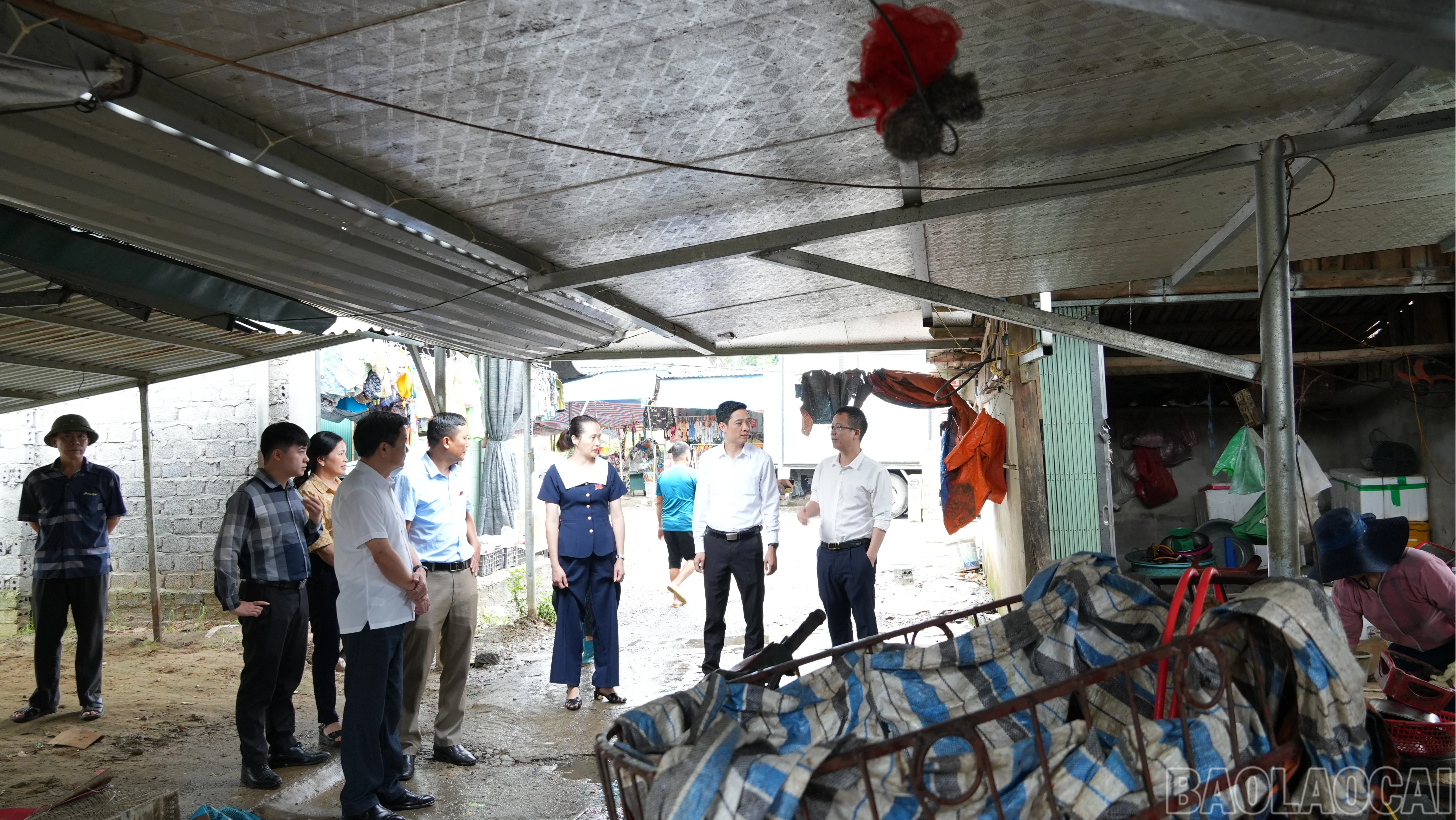 baolaocai-br_khaosat14-2-5649.jpg