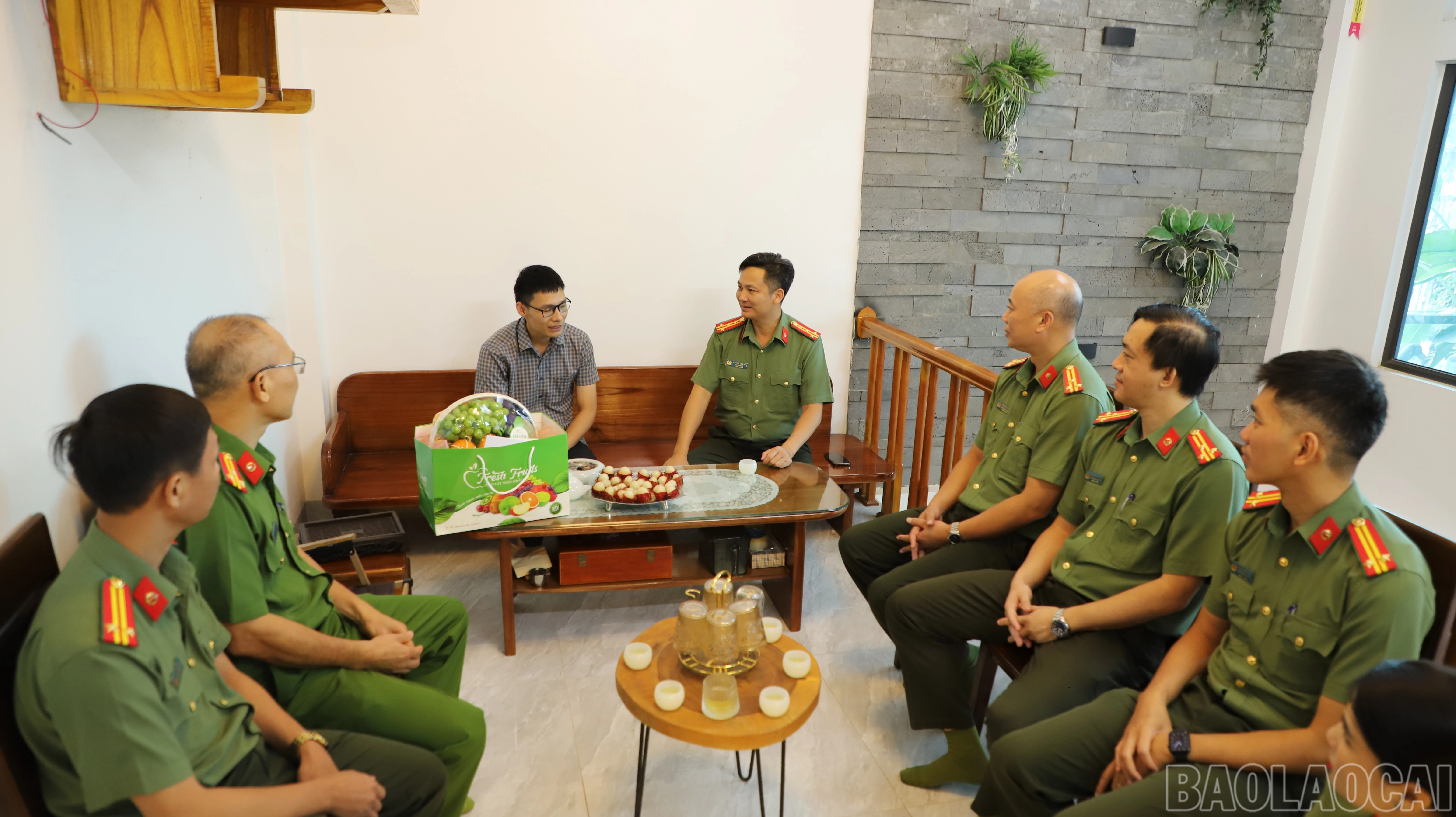 baolaocai-br_anh-1.jpg